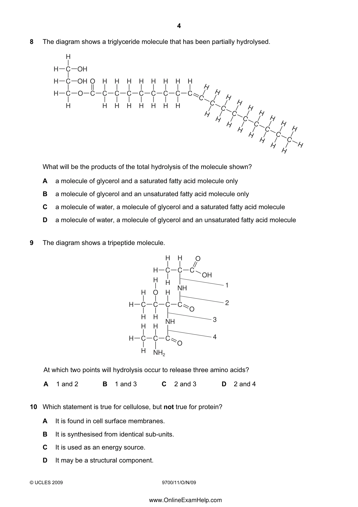 Cambridge A Level Biology 9700 2009 Oct/Nov Paper 1 · Variant 1 question paper, page 4 of 16