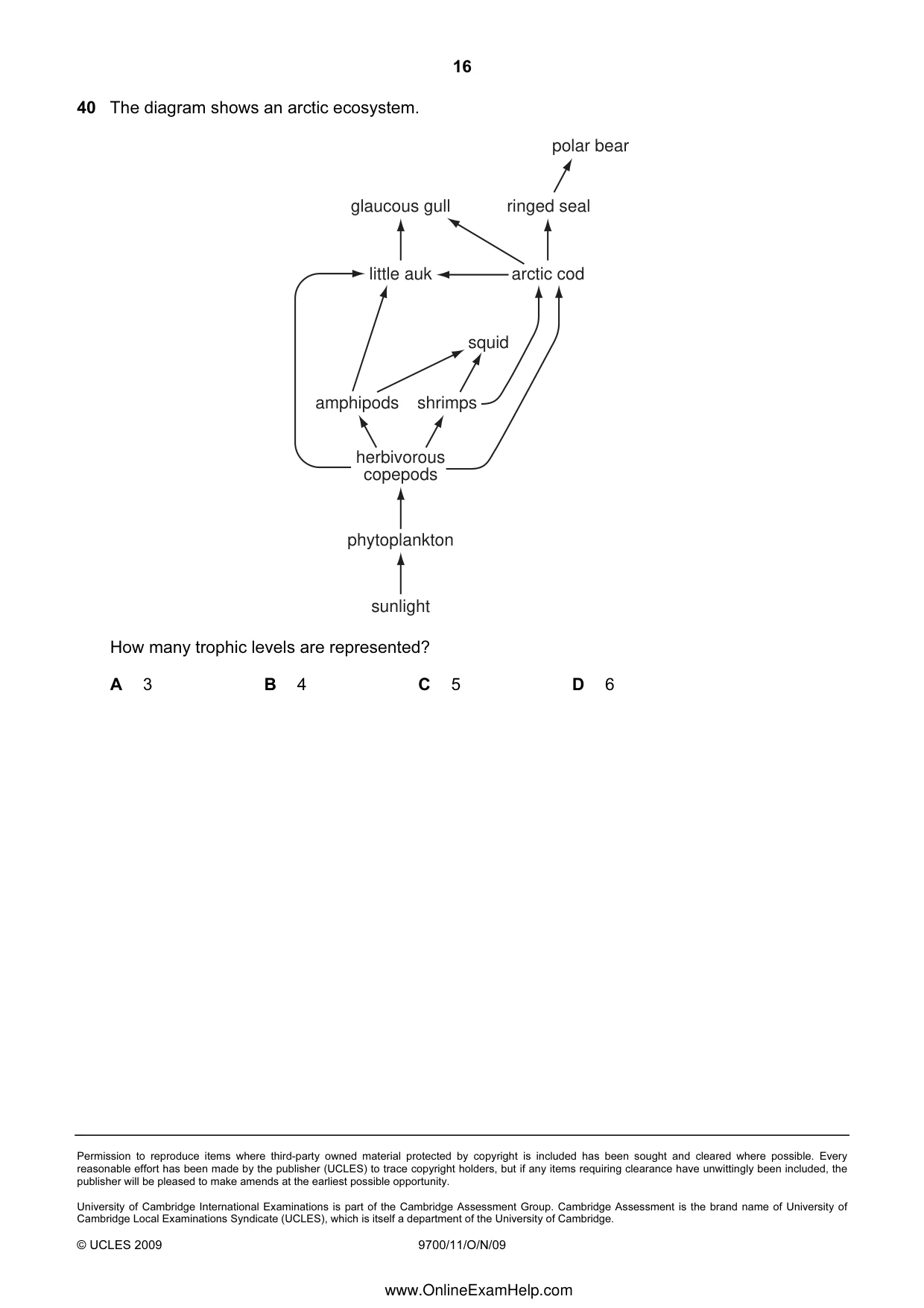Cambridge A Level Biology 9700 2009 Oct/Nov Paper 1 · Variant 1 question paper, page 16 of 16