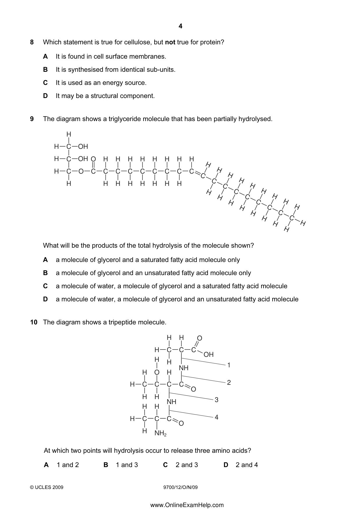 Cambridge A Level Biology 9700 2009 Oct/Nov Paper 1 · Variant 2 question paper, page 4 of 16