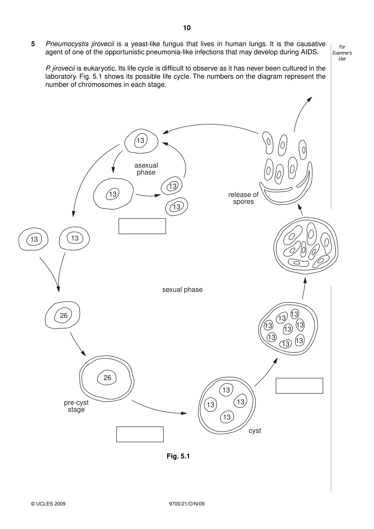 Cambridge A Level Biology 9700 2009 Oct/Nov Paper 2 · Variant 1 question paper, page 10 of 16