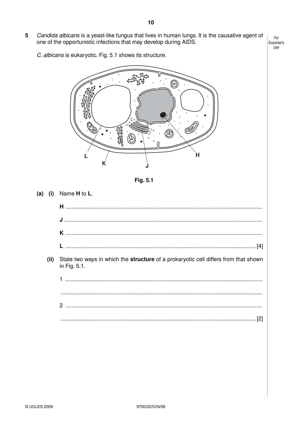 Cambridge A Level Biology 9700 2009 Oct/Nov Paper 2 · Variant 2 question paper, page 10 of 16