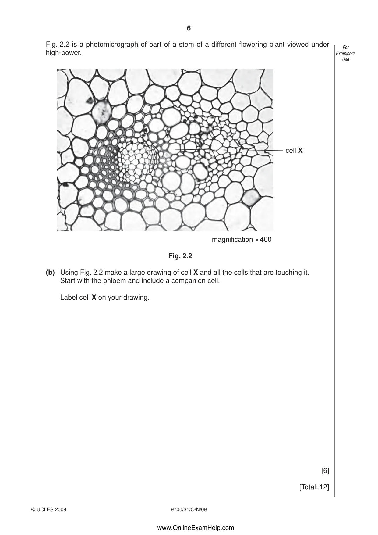 Cambridge A Level Biology 9700 2009 Oct/Nov Paper 3 · Variant 1 question paper, page 6 of 12