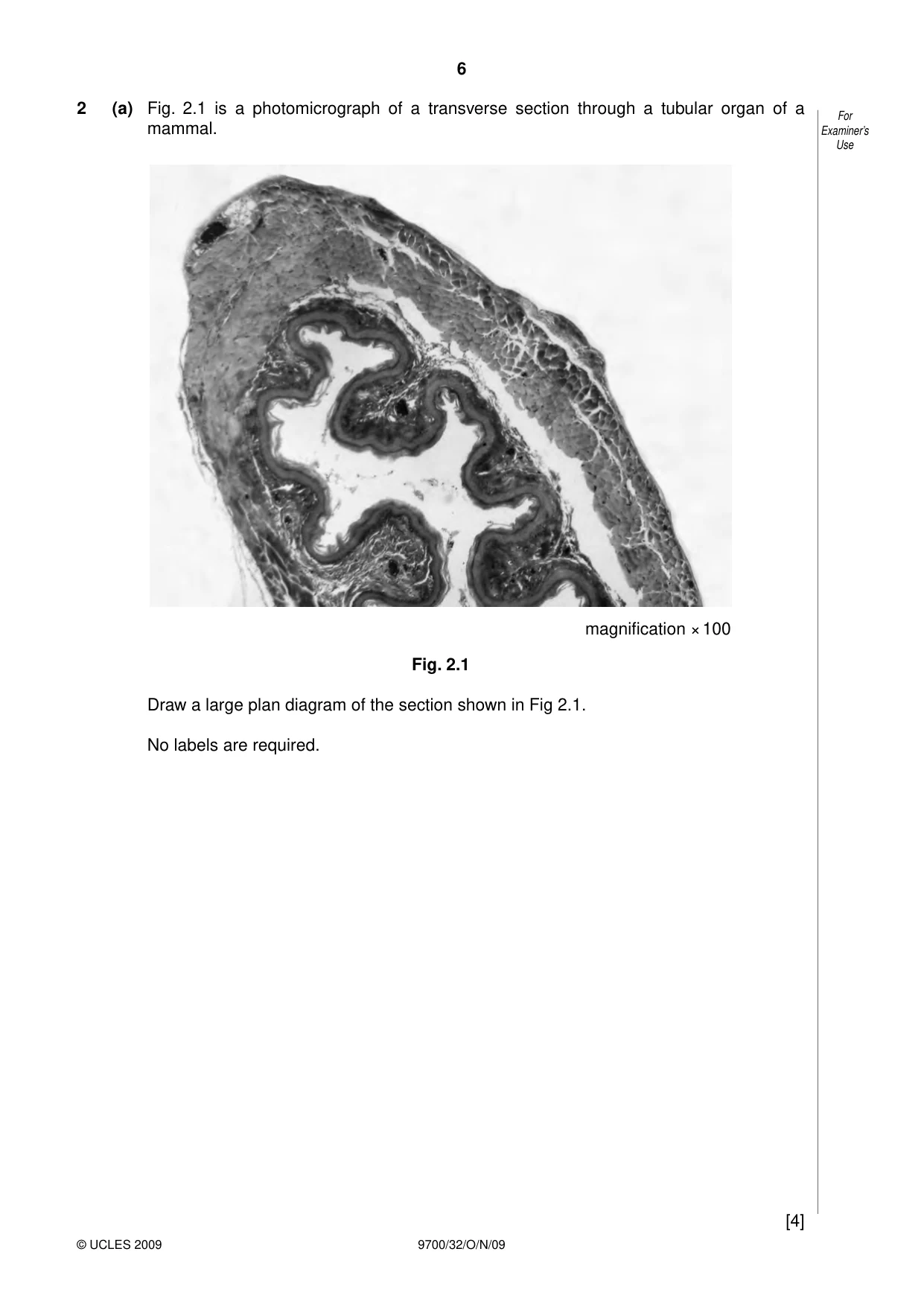 Cambridge A Level Biology 9700 2009 Oct/Nov Paper 3 · Variant 2 question paper, page 6 of 12