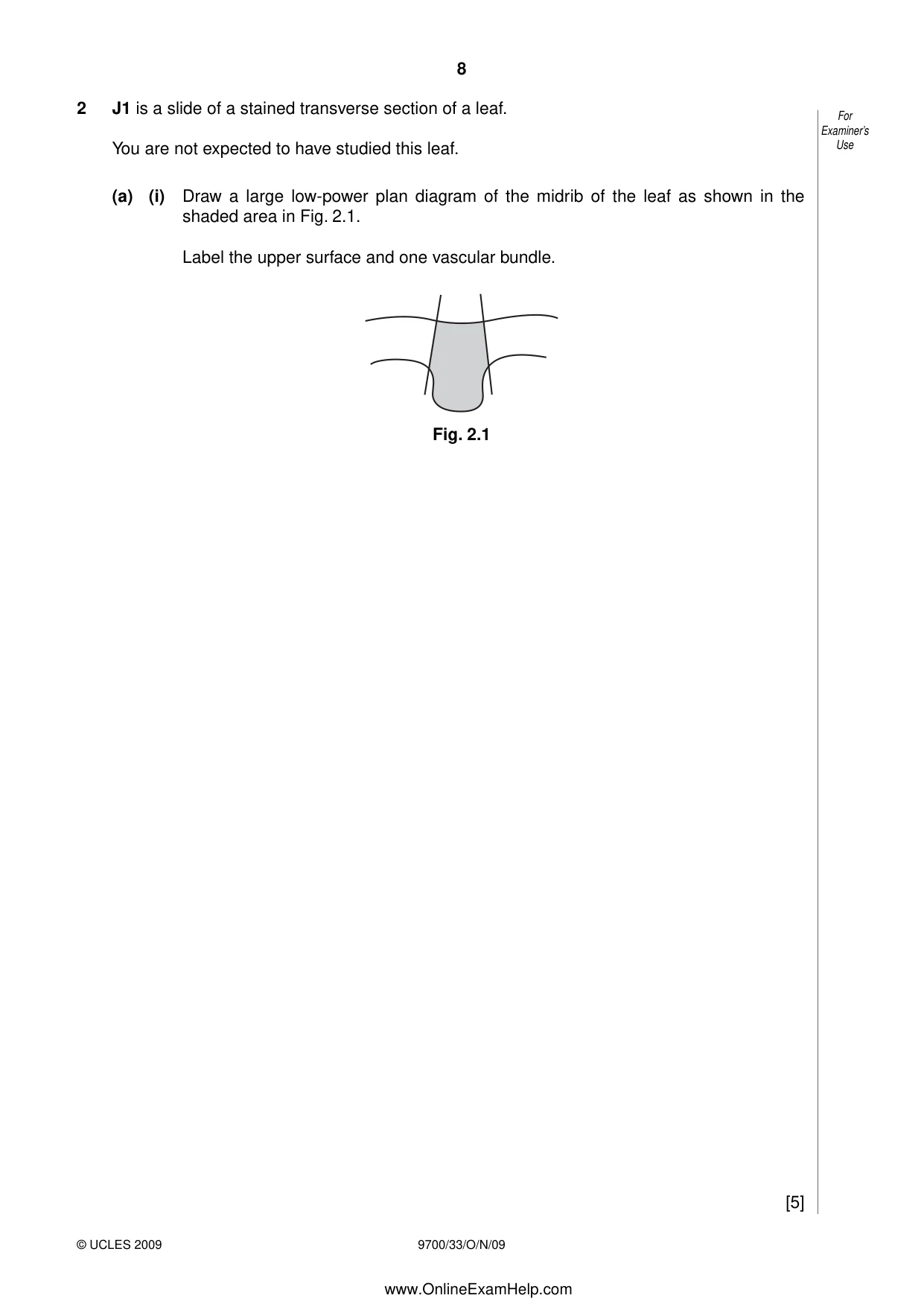 Cambridge A Level Biology 9700 2009 Oct/Nov Paper 3 · Variant 3 question paper, page 8 of 12