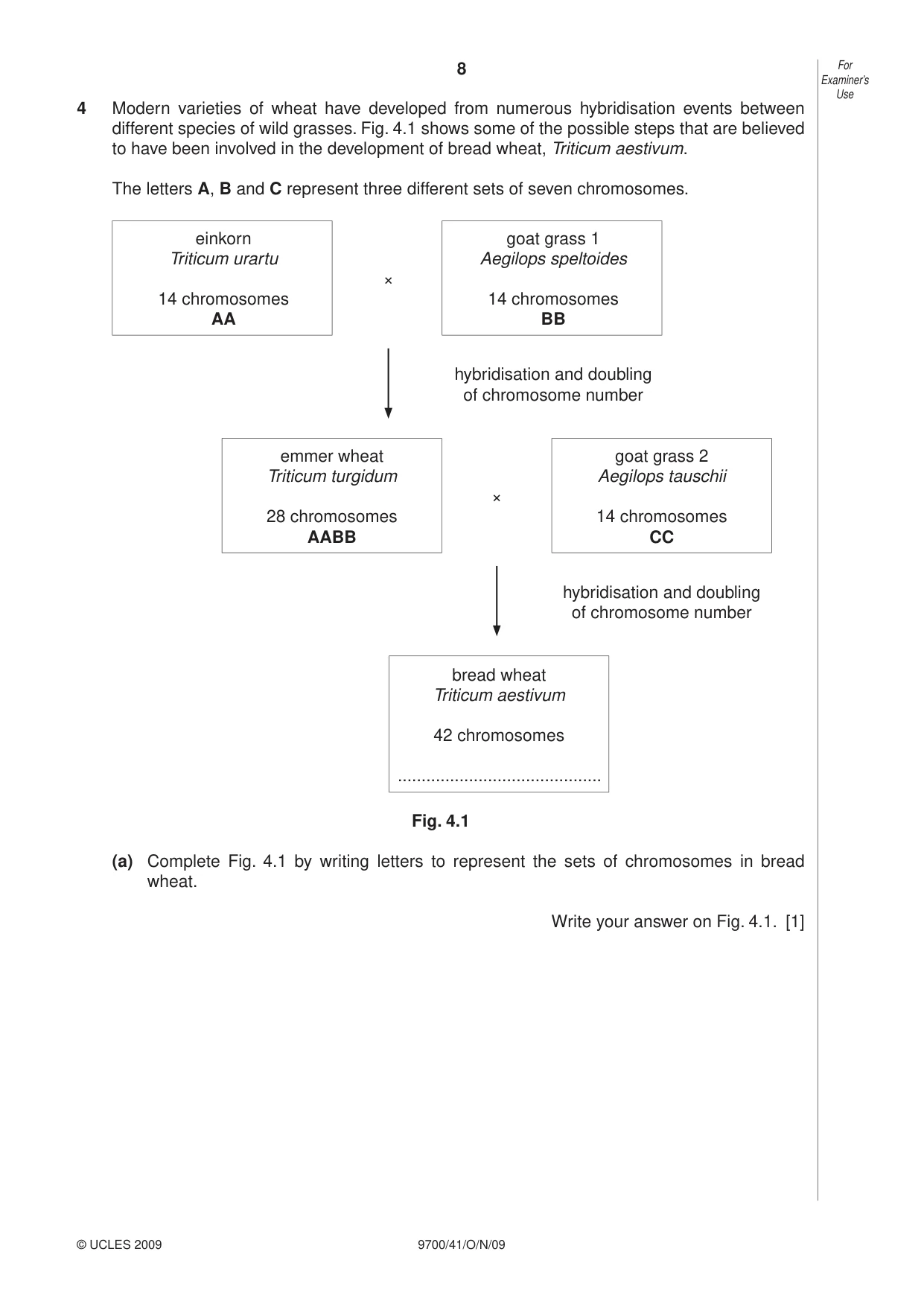 Cambridge A Level Biology 9700 2009 Oct/Nov Paper 4 · Variant 1 question paper, page 8 of 24