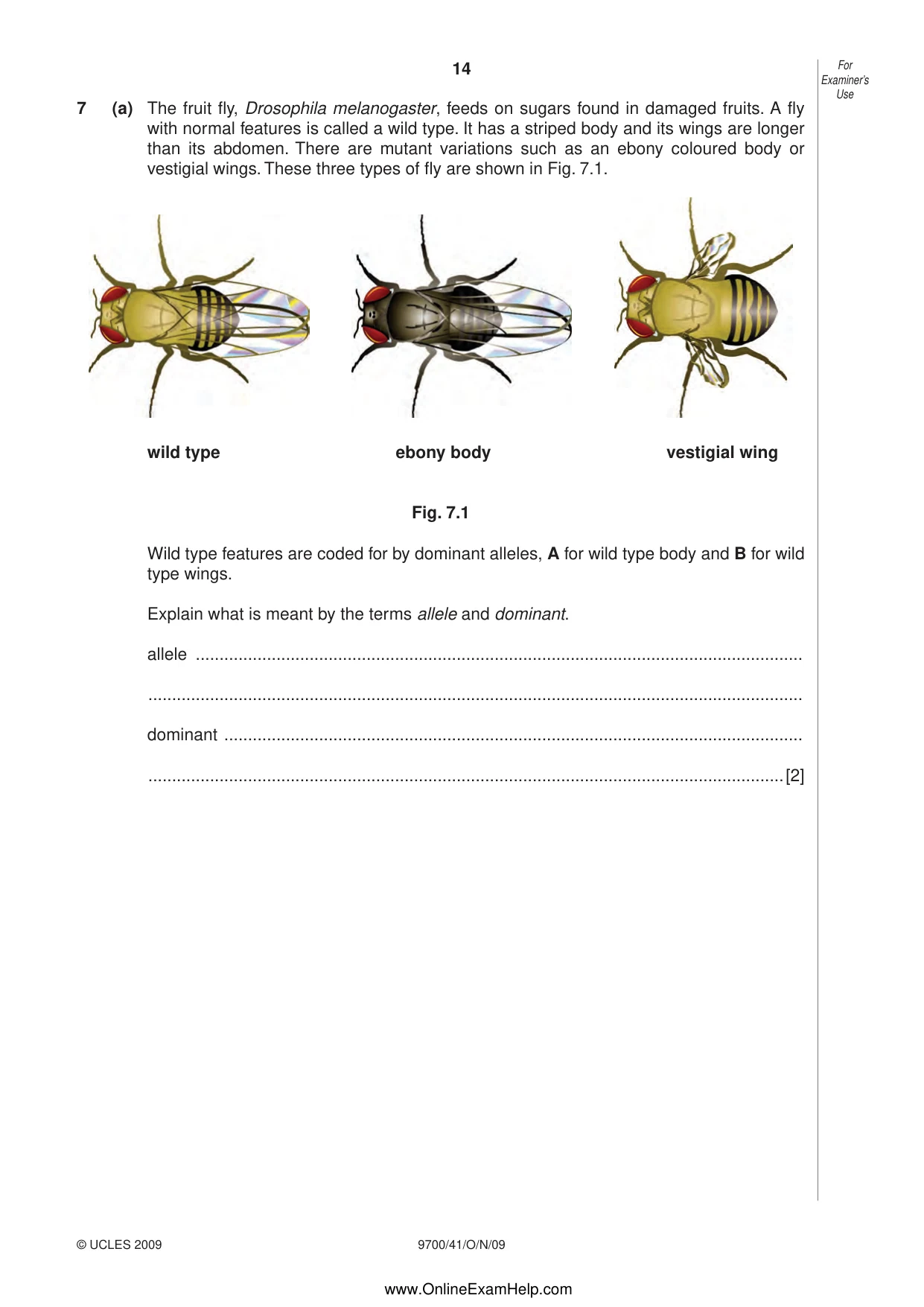 Cambridge A Level Biology 9700 2009 Oct/Nov Paper 4 · Variant 1 question paper, page 14 of 24