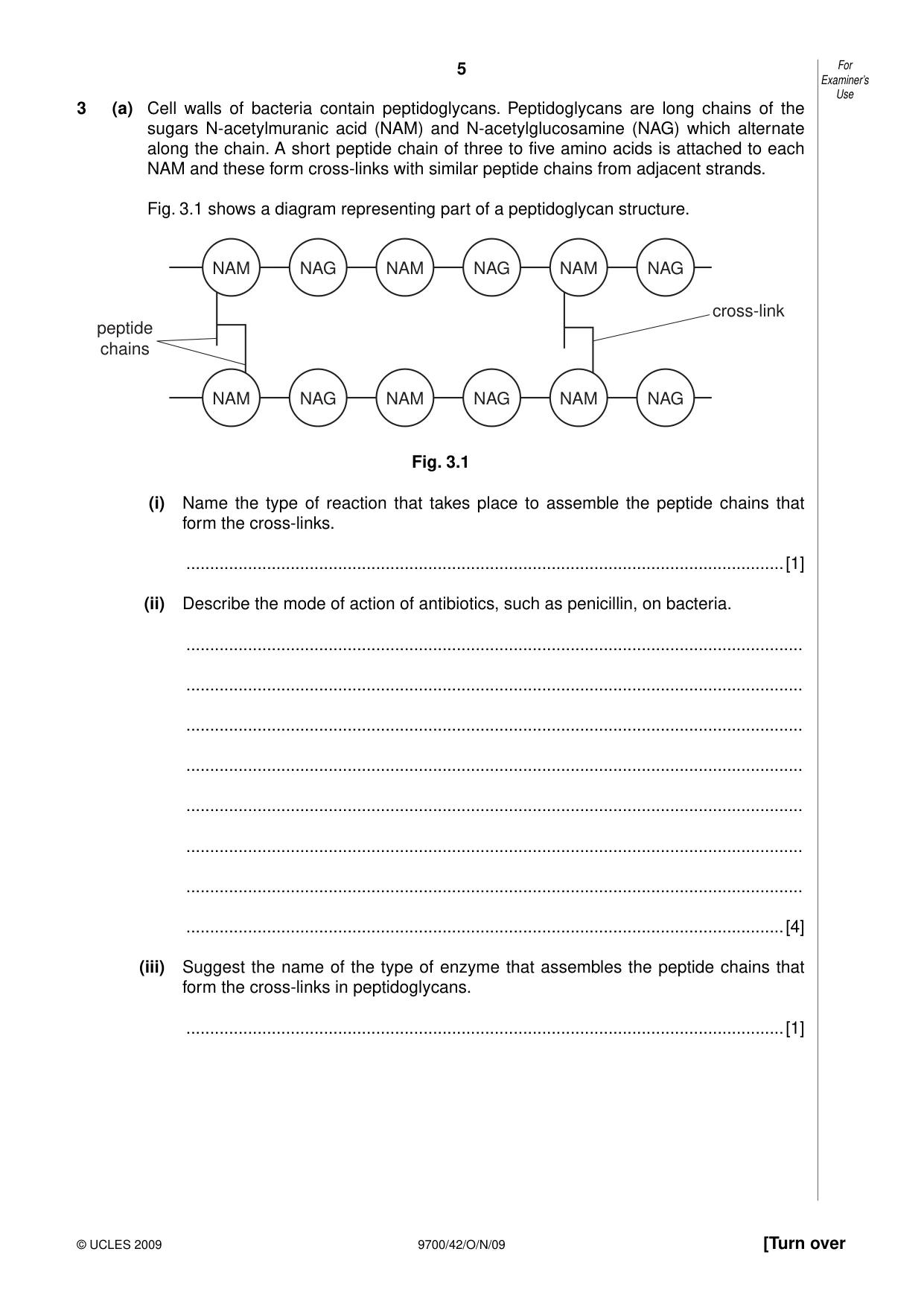 Cambridge A Level Biology 9700 2009 Oct/Nov Paper 4 · Variant 2 question paper, page 5 of 24