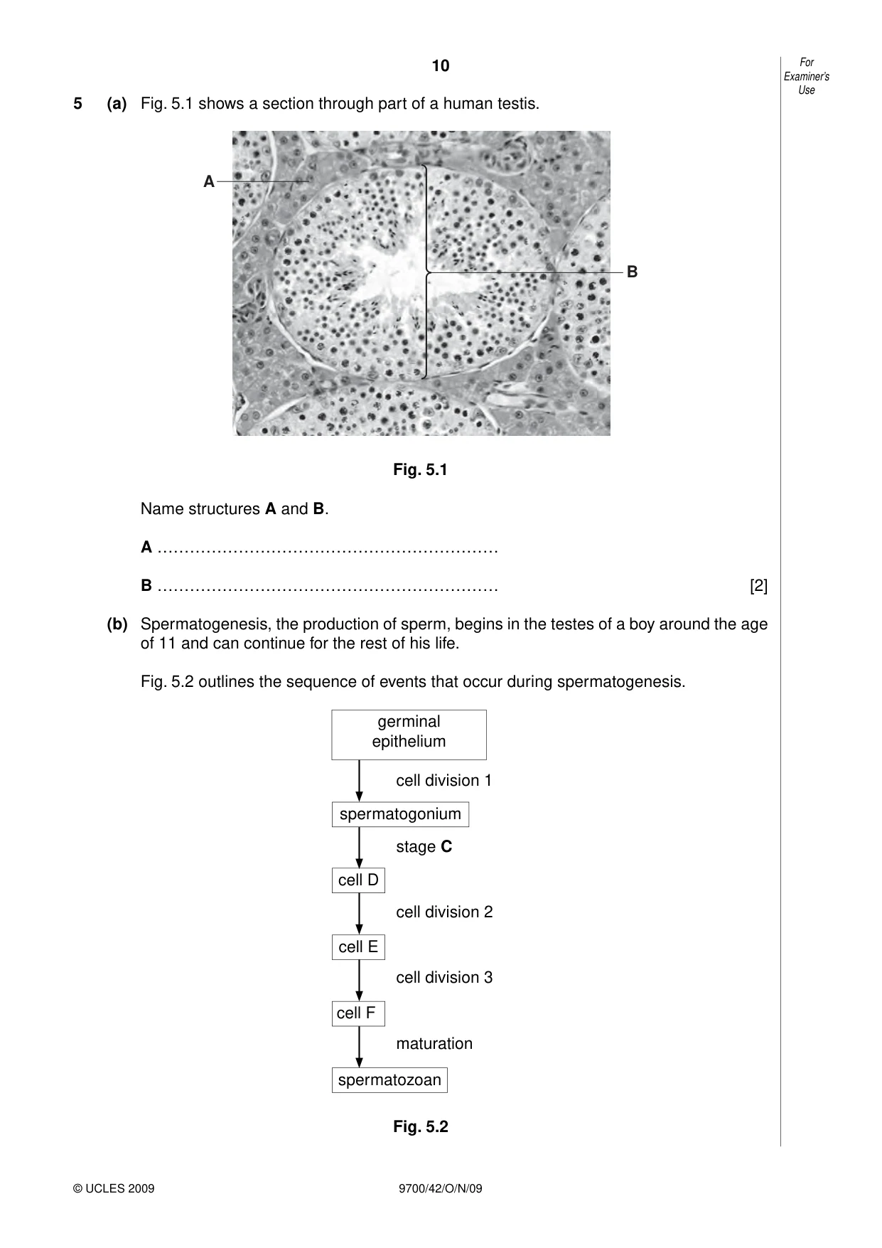 Cambridge A Level Biology 9700 2009 Oct/Nov Paper 4 · Variant 2 question paper, page 10 of 24