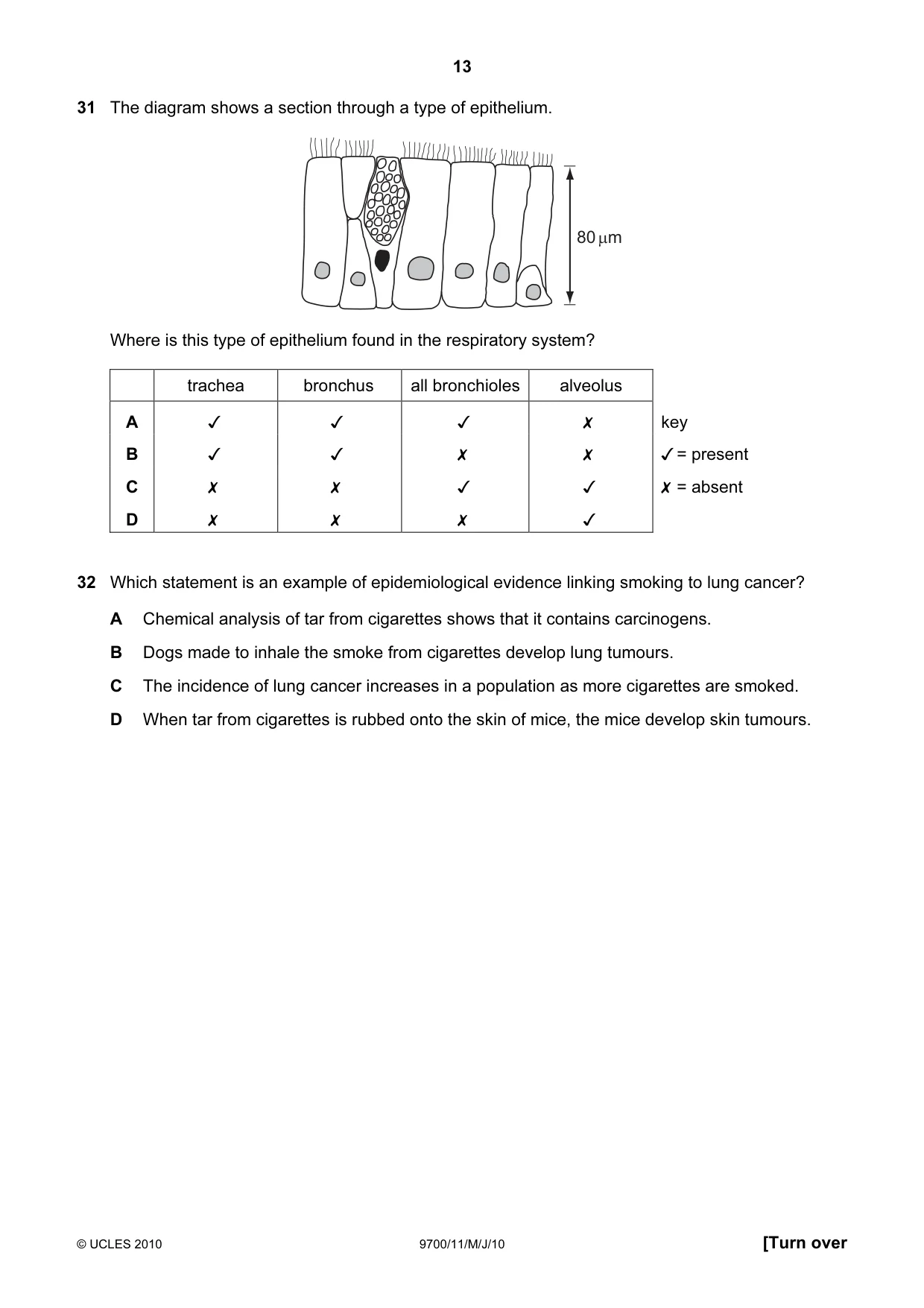 Cambridge A Level Biology 9700 2010 May/June Paper 1 · Variant 1 question paper, page 13 of 20