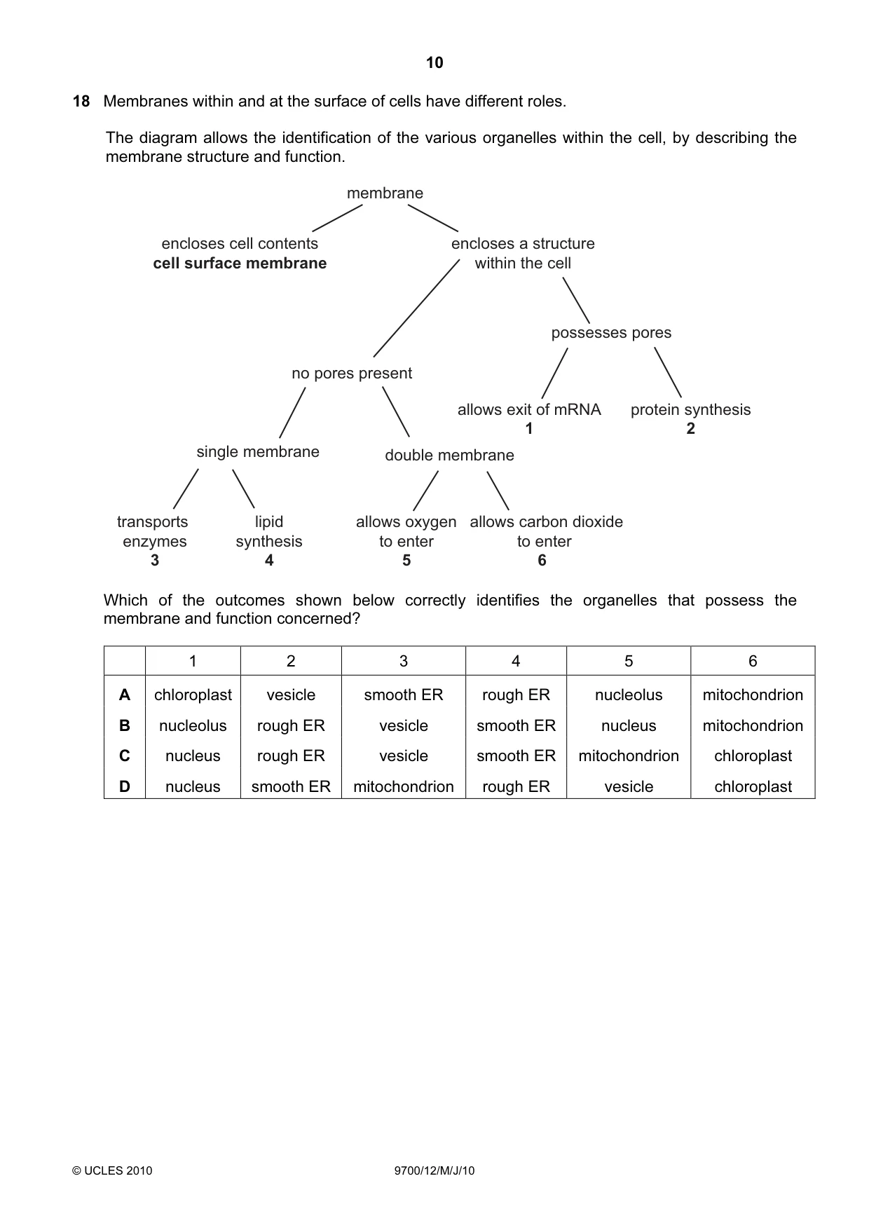 Cambridge A Level Biology 9700 2010 May/June Paper 1 · Variant 2 question paper, page 10 of 20