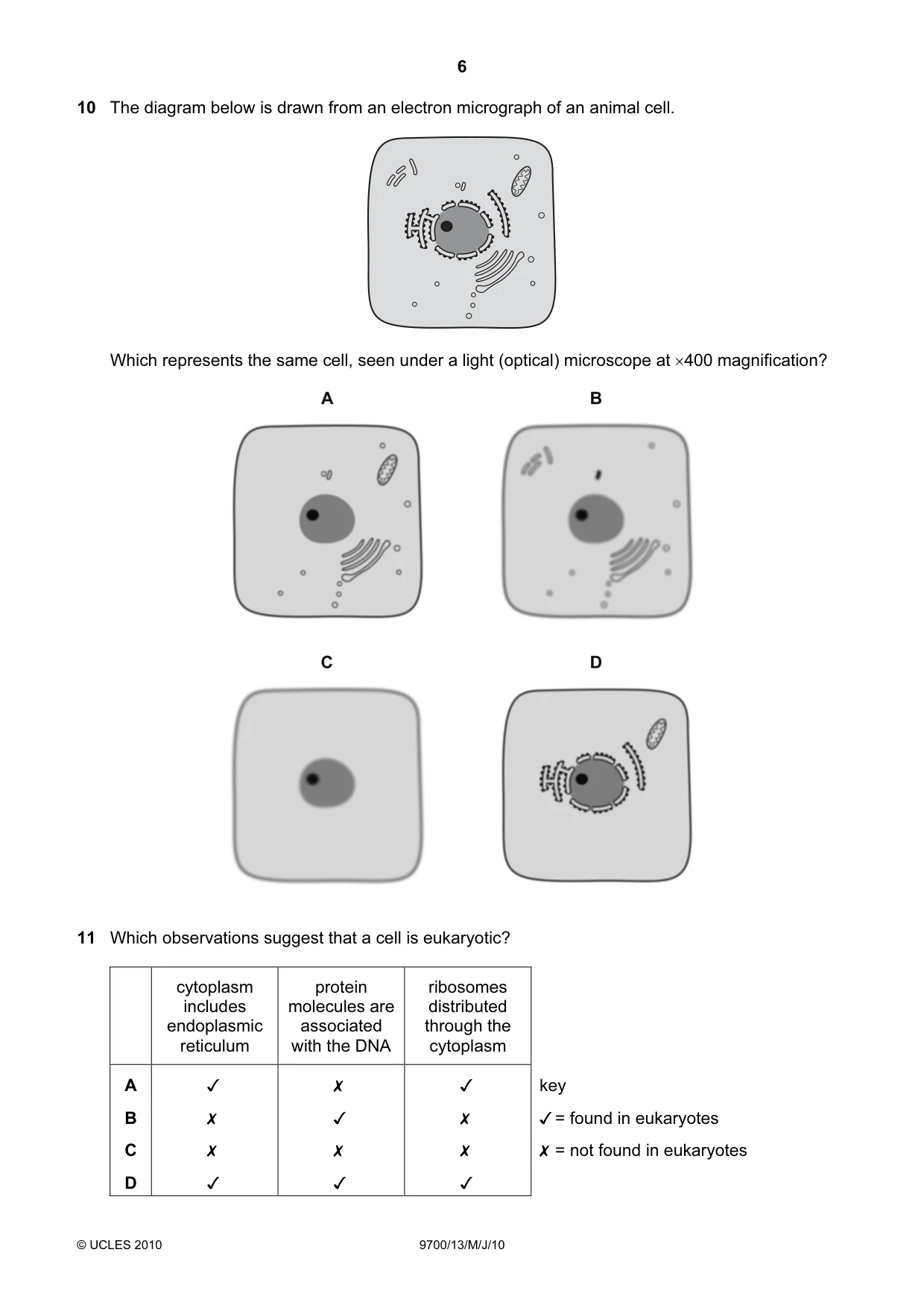 Cambridge A Level Biology 9700 2010 May/June Paper 1 · Variant 3 question paper, page 6 of 20