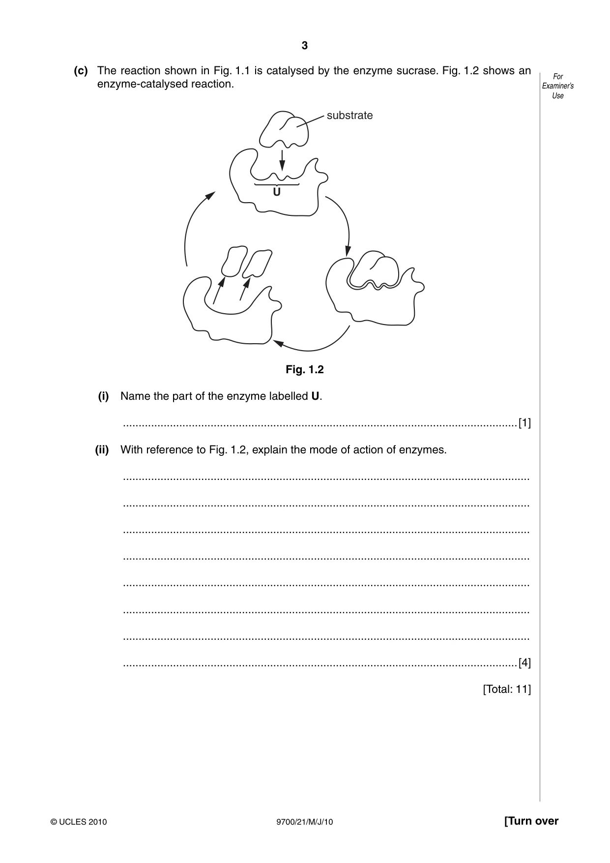 Cambridge A Level Biology 9700 2010 May/June Paper 2 · Variant 1 question paper, page 3 of 16