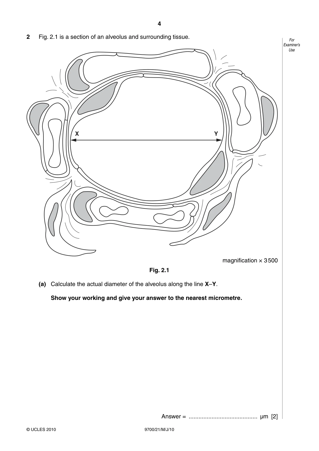 Cambridge A Level Biology 9700 2010 May/June Paper 2 · Variant 1 question paper, page 4 of 16