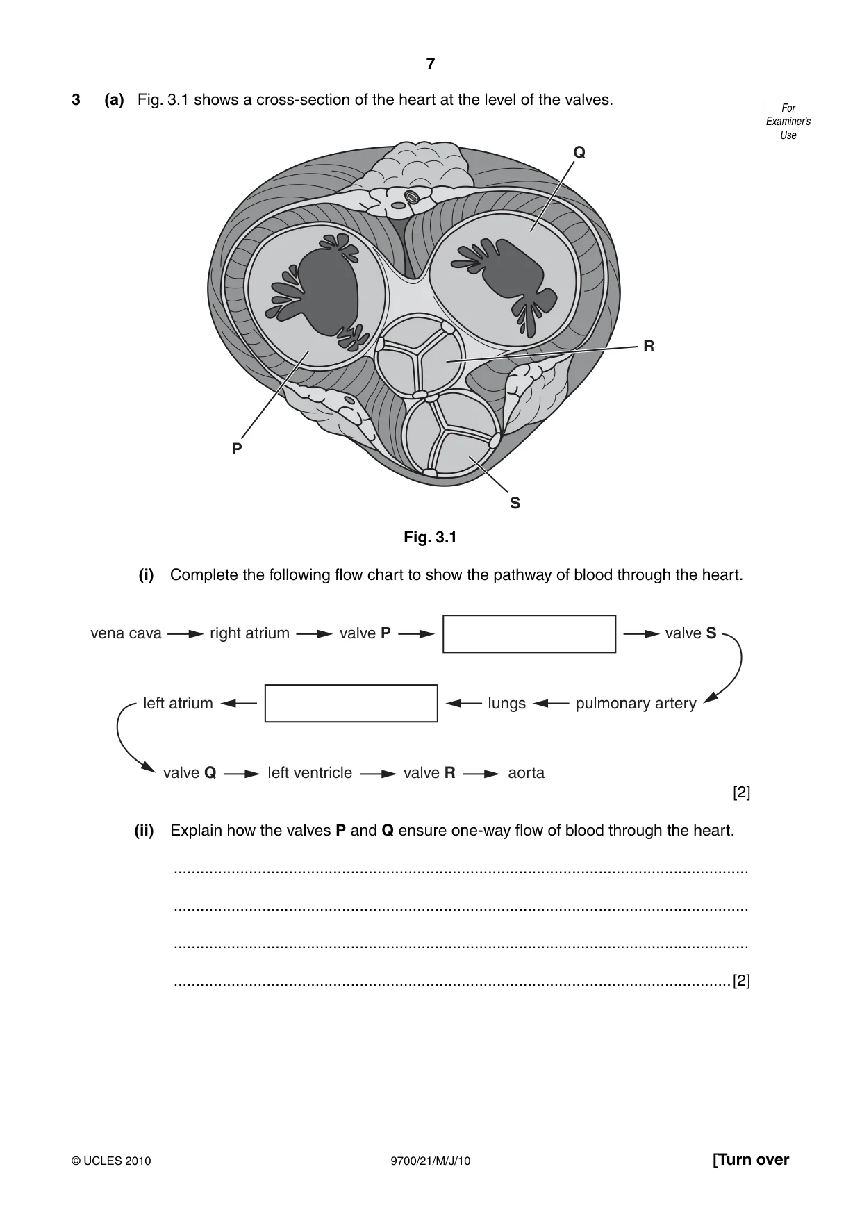 Cambridge A Level Biology 9700 2010 May/June Paper 2 · Variant 1 question paper, page 7 of 16