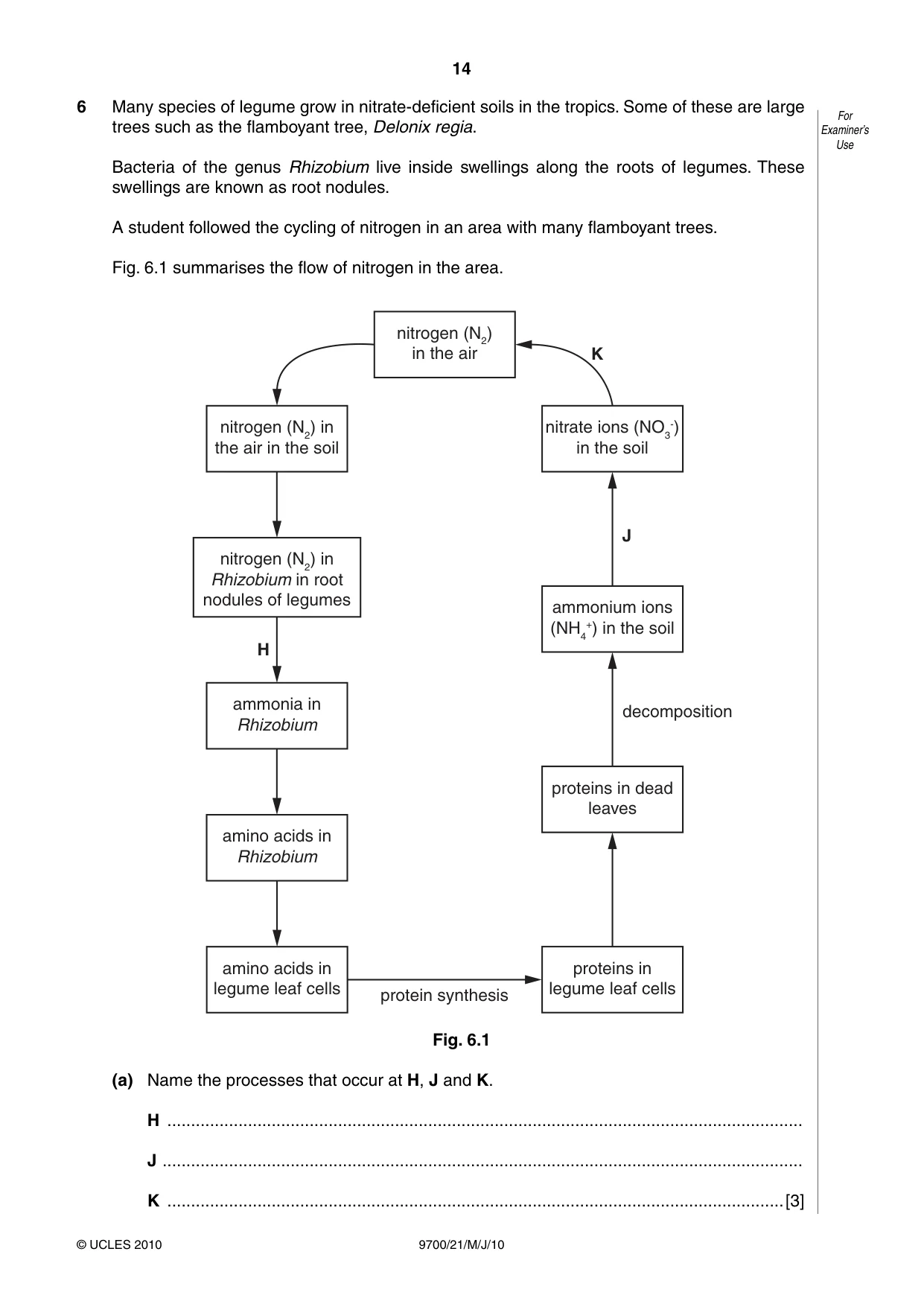 Cambridge A Level Biology 9700 2010 May/June Paper 2 · Variant 1 question paper, page 14 of 16