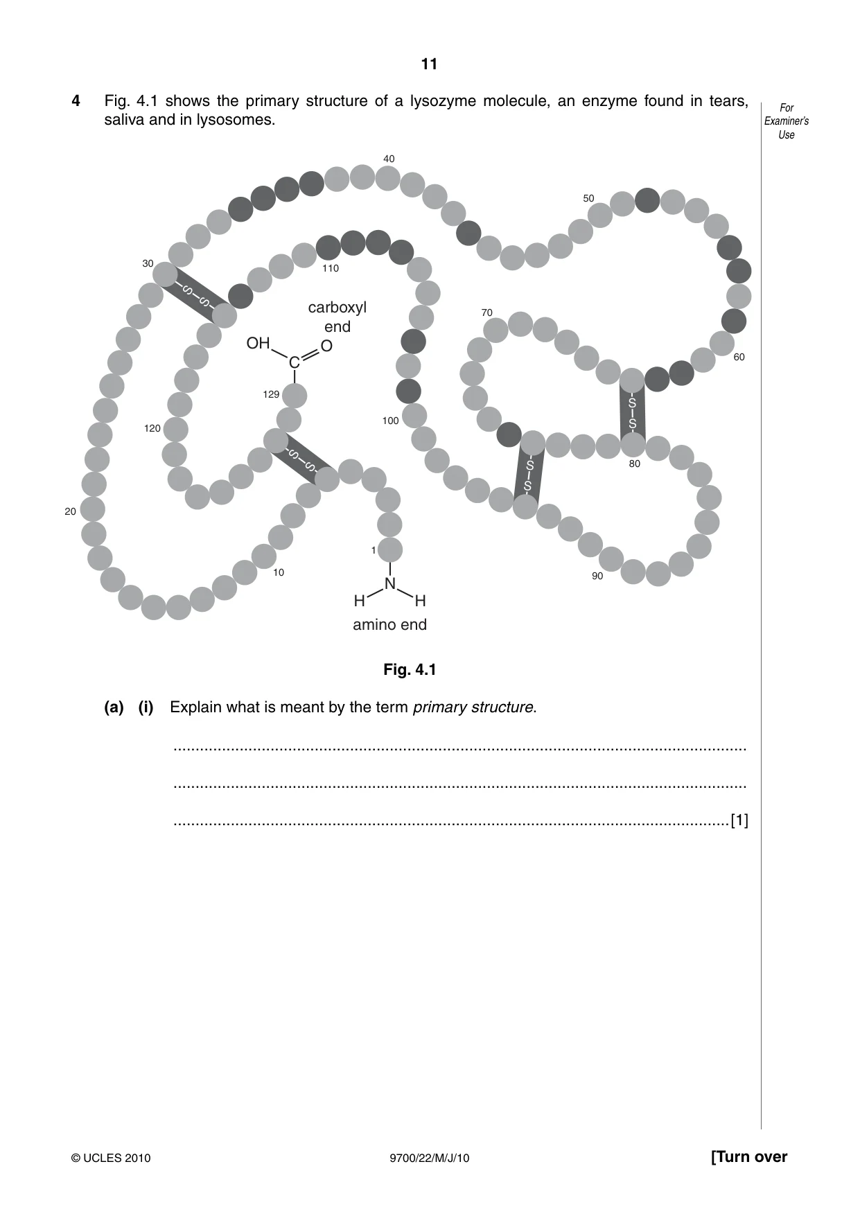 Cambridge A Level Biology 9700 2010 May/June Paper 2 · Variant 2 question paper, page 11 of 20