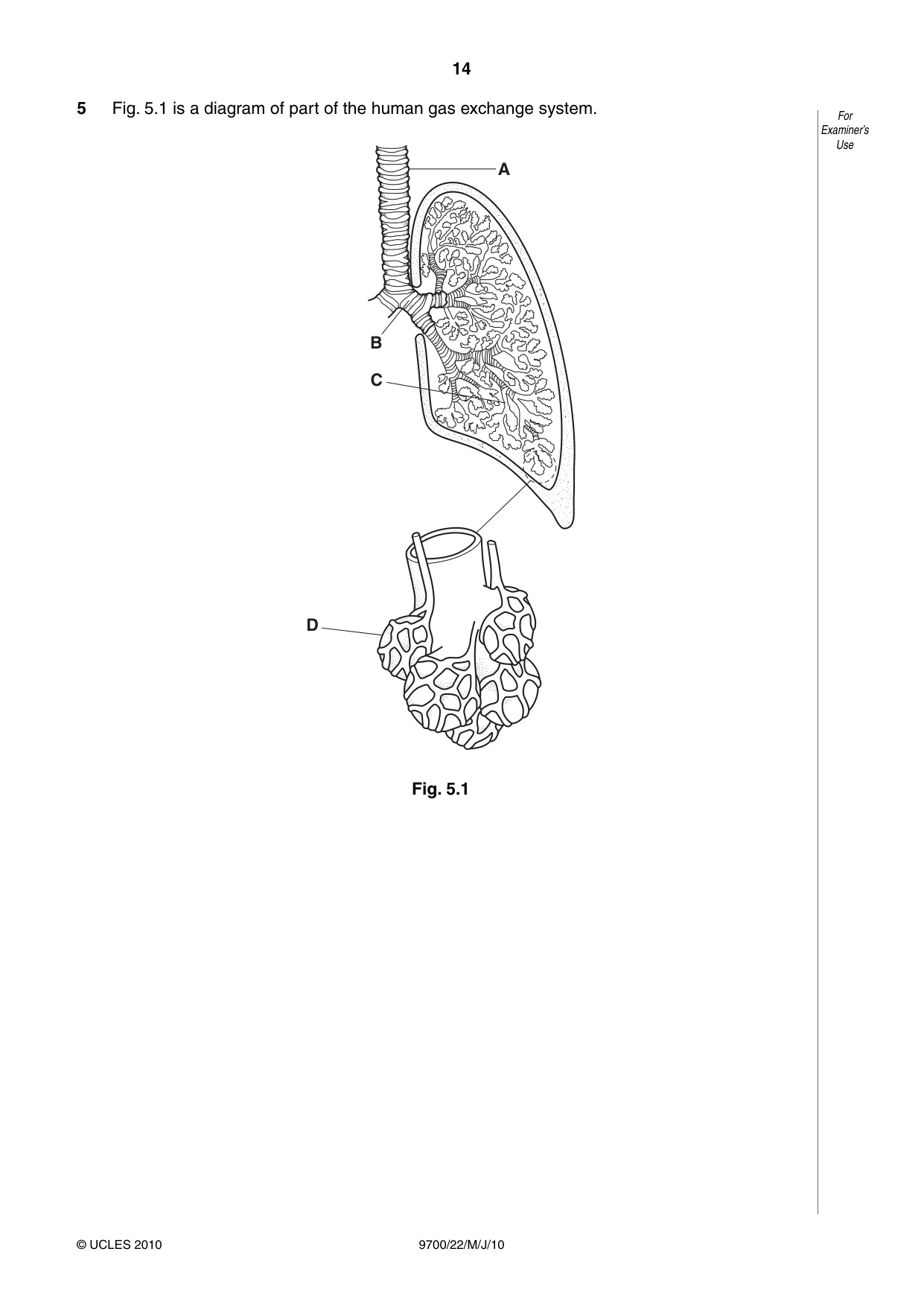 Cambridge A Level Biology 9700 2010 May/June Paper 2 · Variant 2 question paper, page 14 of 20