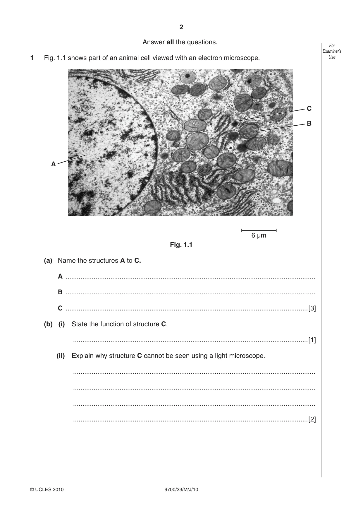 Cambridge A Level Biology 9700 2010 May/June Paper 2 · Variant 3 question paper, page 2 of 16