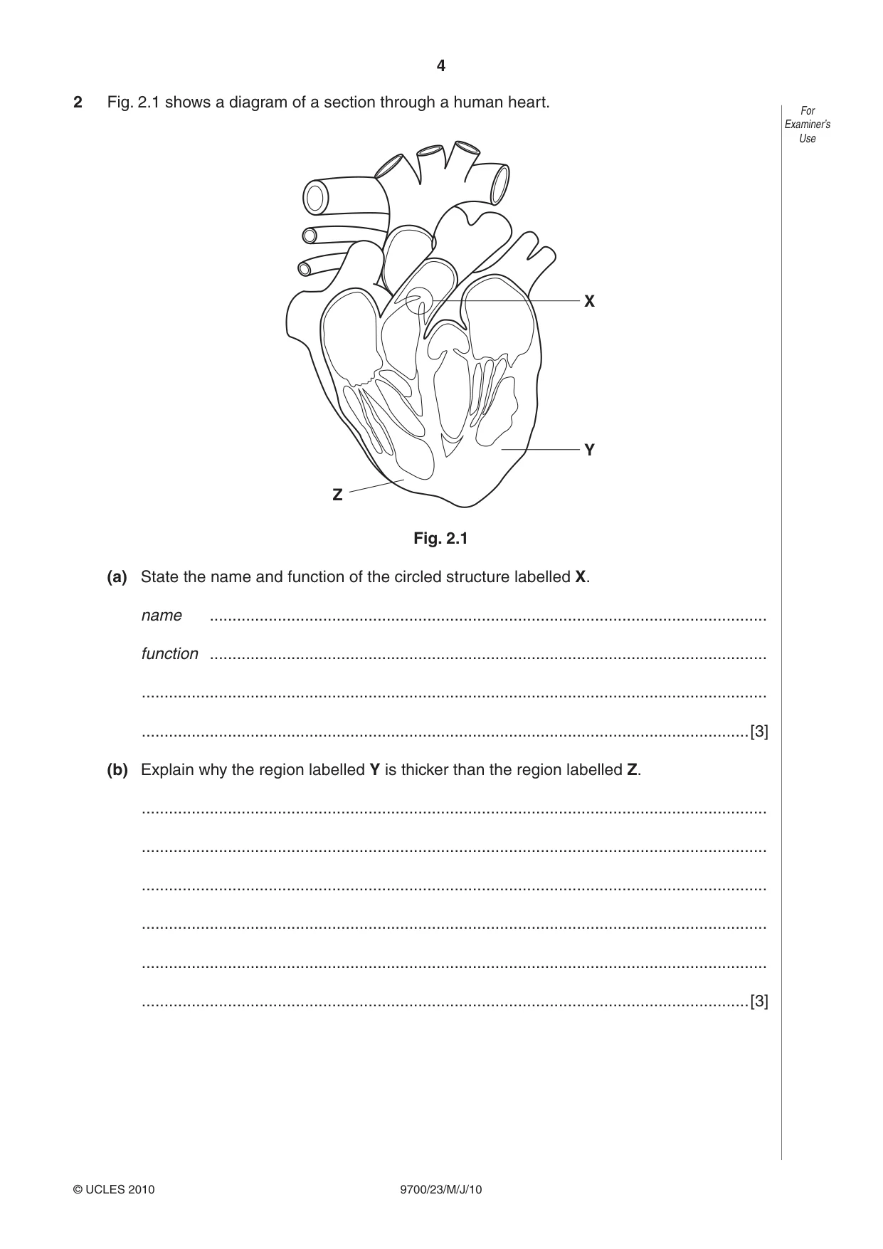 Cambridge A Level Biology 9700 2010 May/June Paper 2 · Variant 3 question paper, page 4 of 16