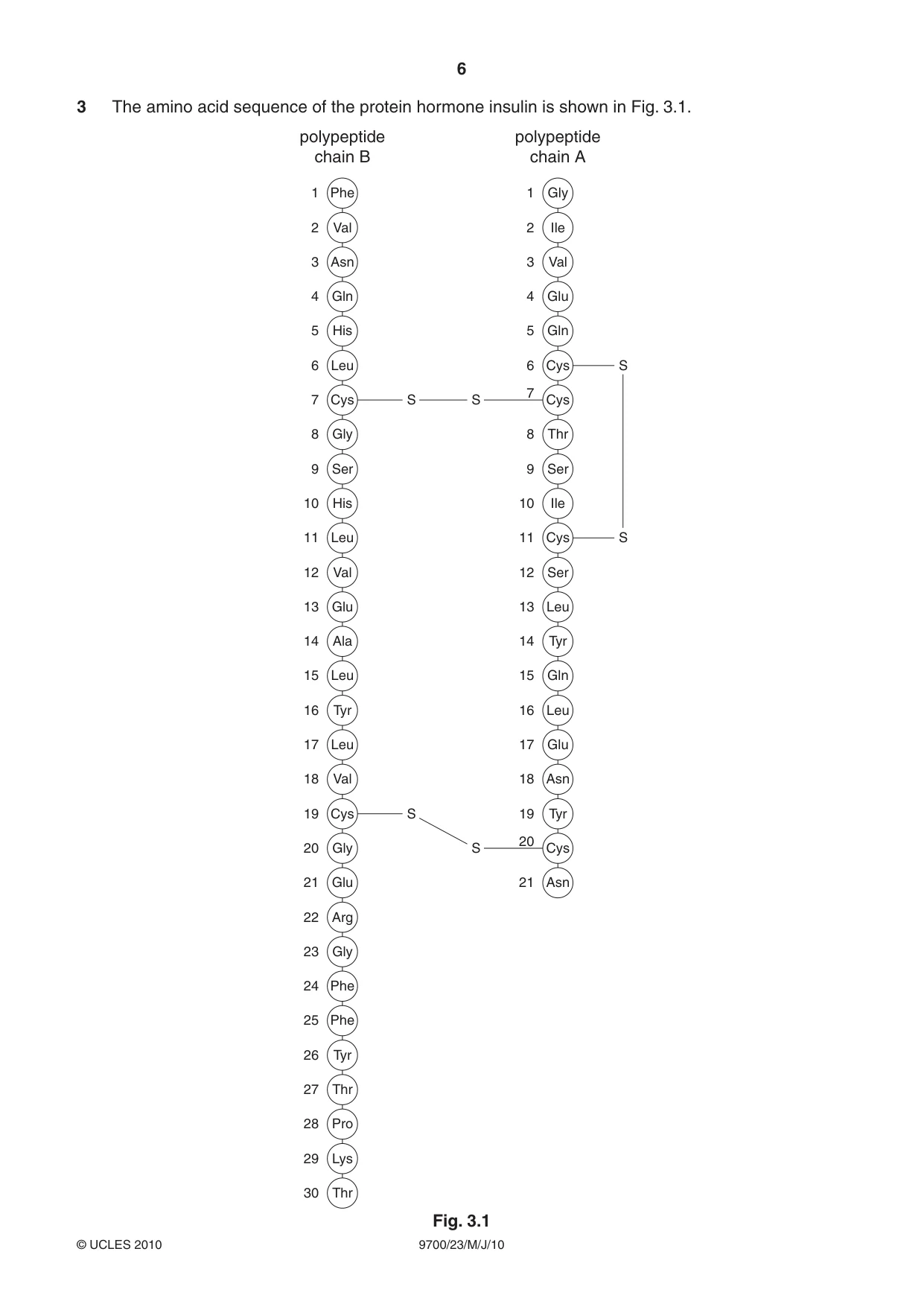 Cambridge A Level Biology 9700 2010 May/June Paper 2 · Variant 3 question paper, page 6 of 16