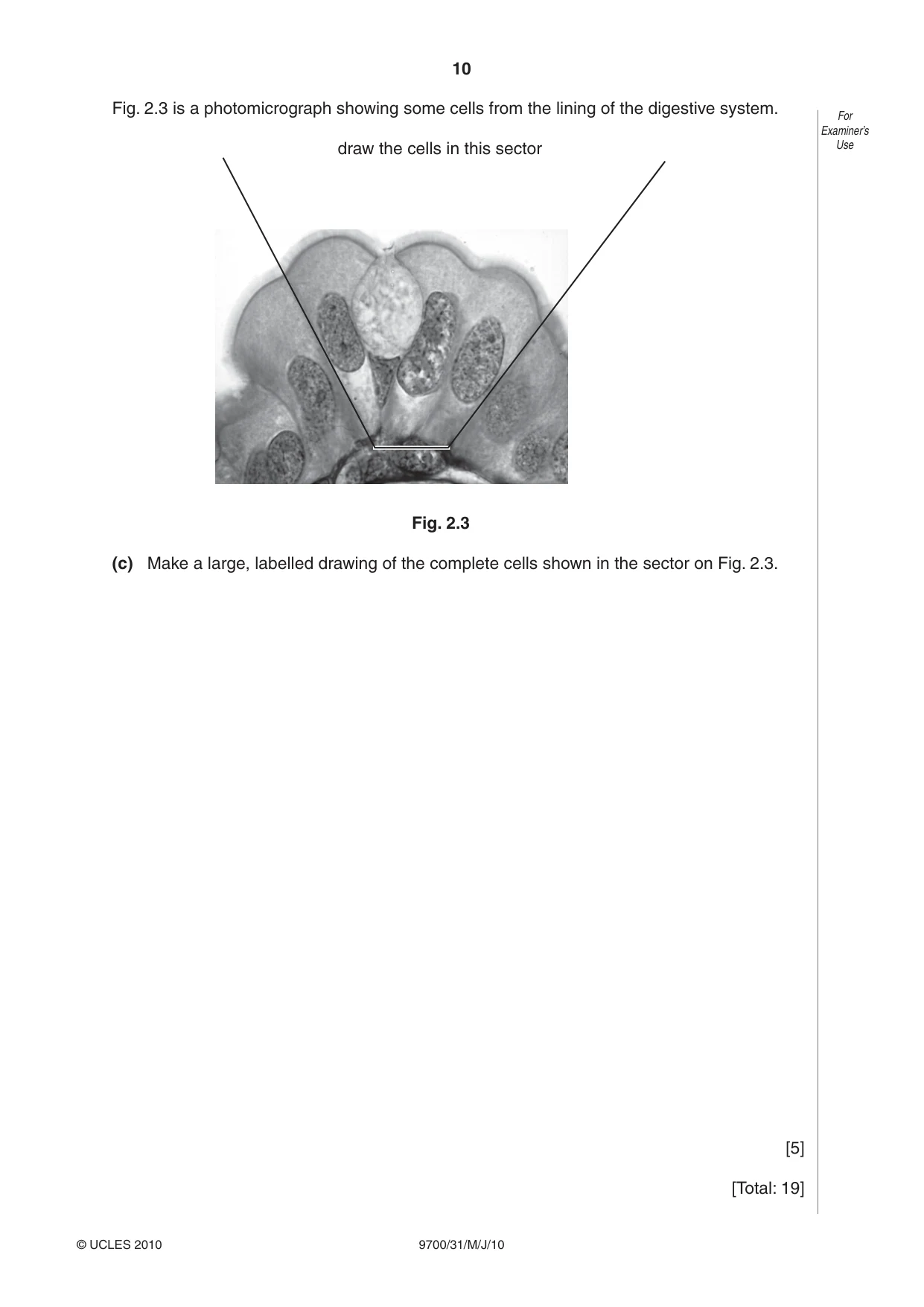 Cambridge A Level Biology 9700 2010 May/June Paper 3 · Variant 1 question paper, page 10 of 12