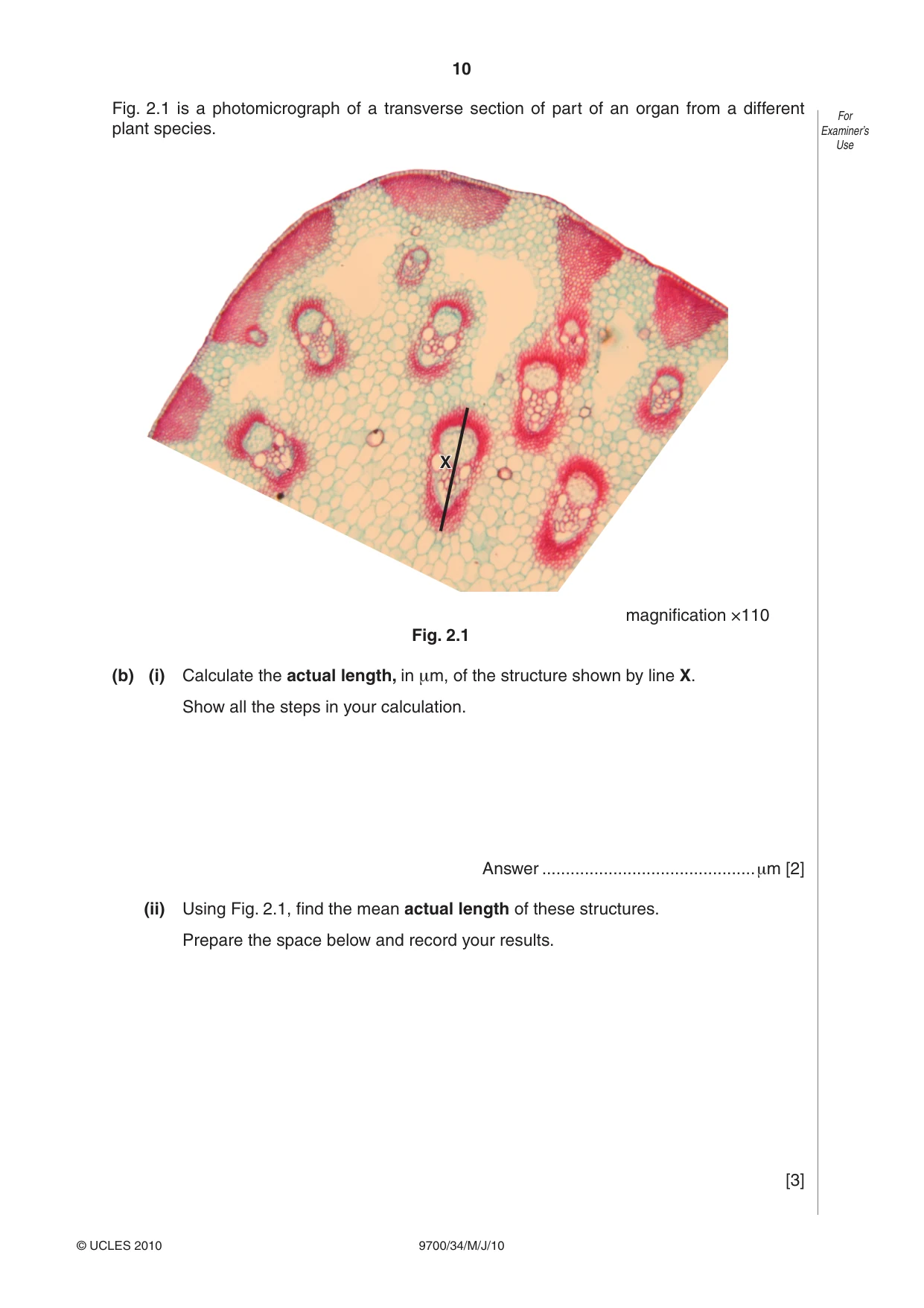 Cambridge A Level Biology 9700 2010 May/June Paper 3 · Variant 4 question paper, page 10 of 12