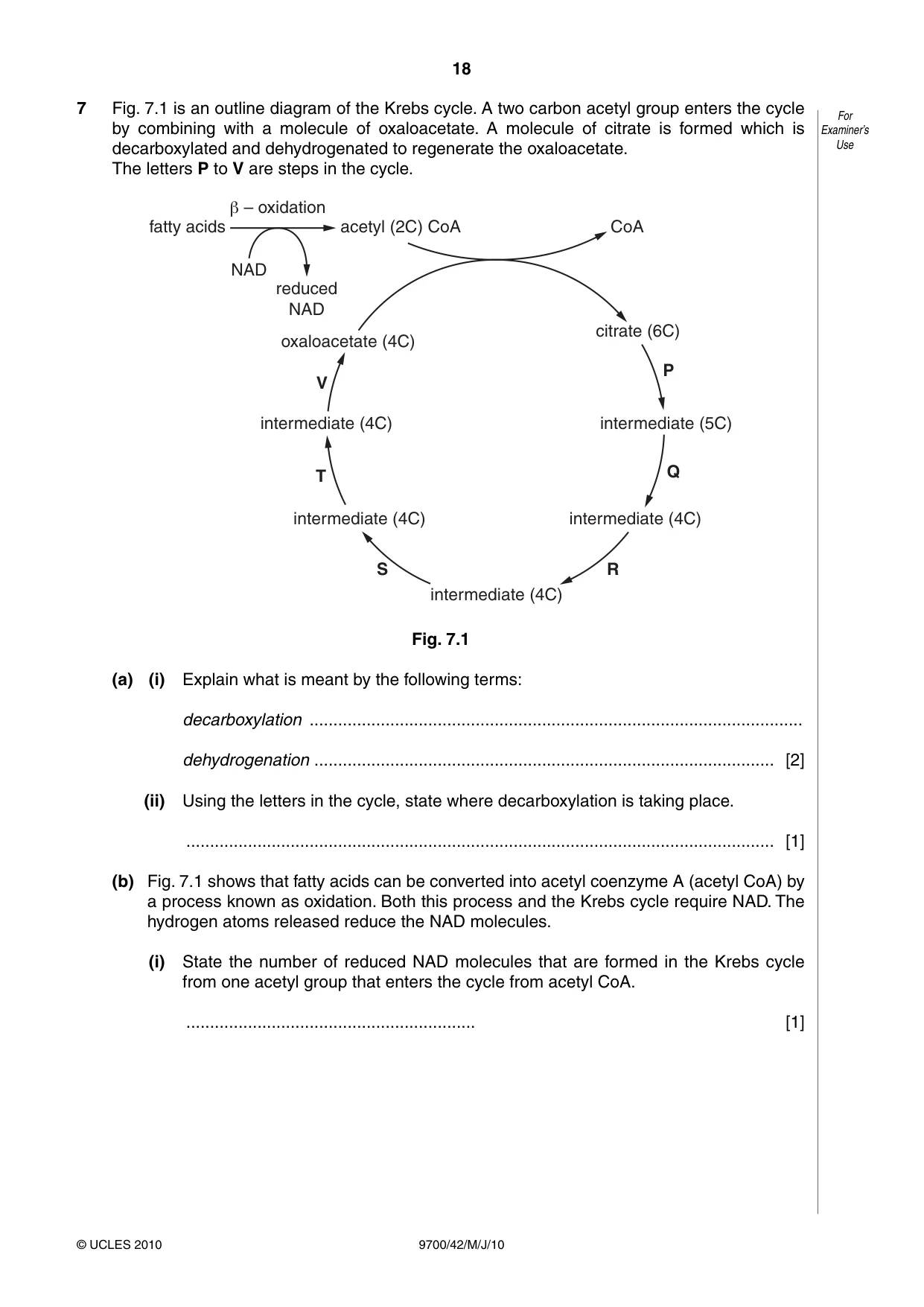 Cambridge A Level Biology 9700 2010 May/June Paper 4 · Variant 2 question paper, page 18 of 24