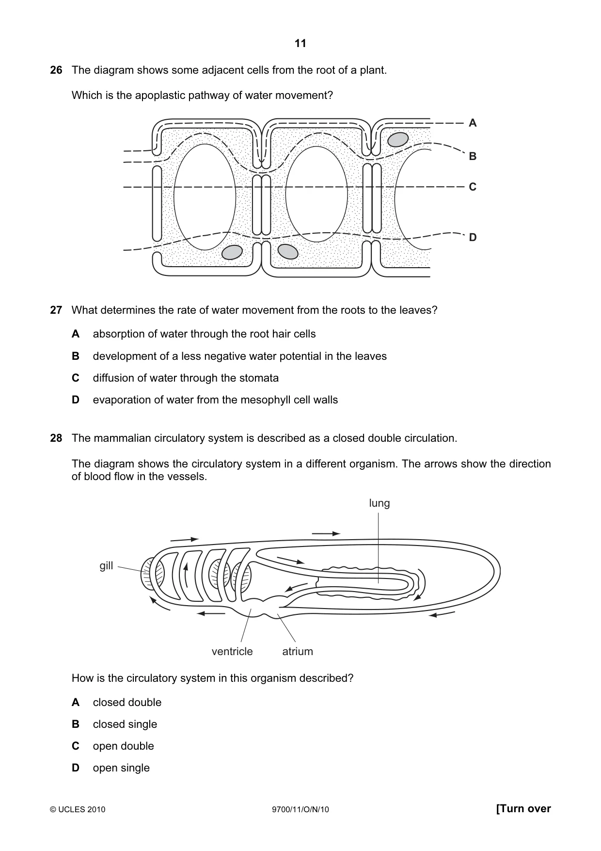 Cambridge A Level Biology 9700 2010 Oct/Nov Paper 1 · Variant 1 question paper, page 11 of 20