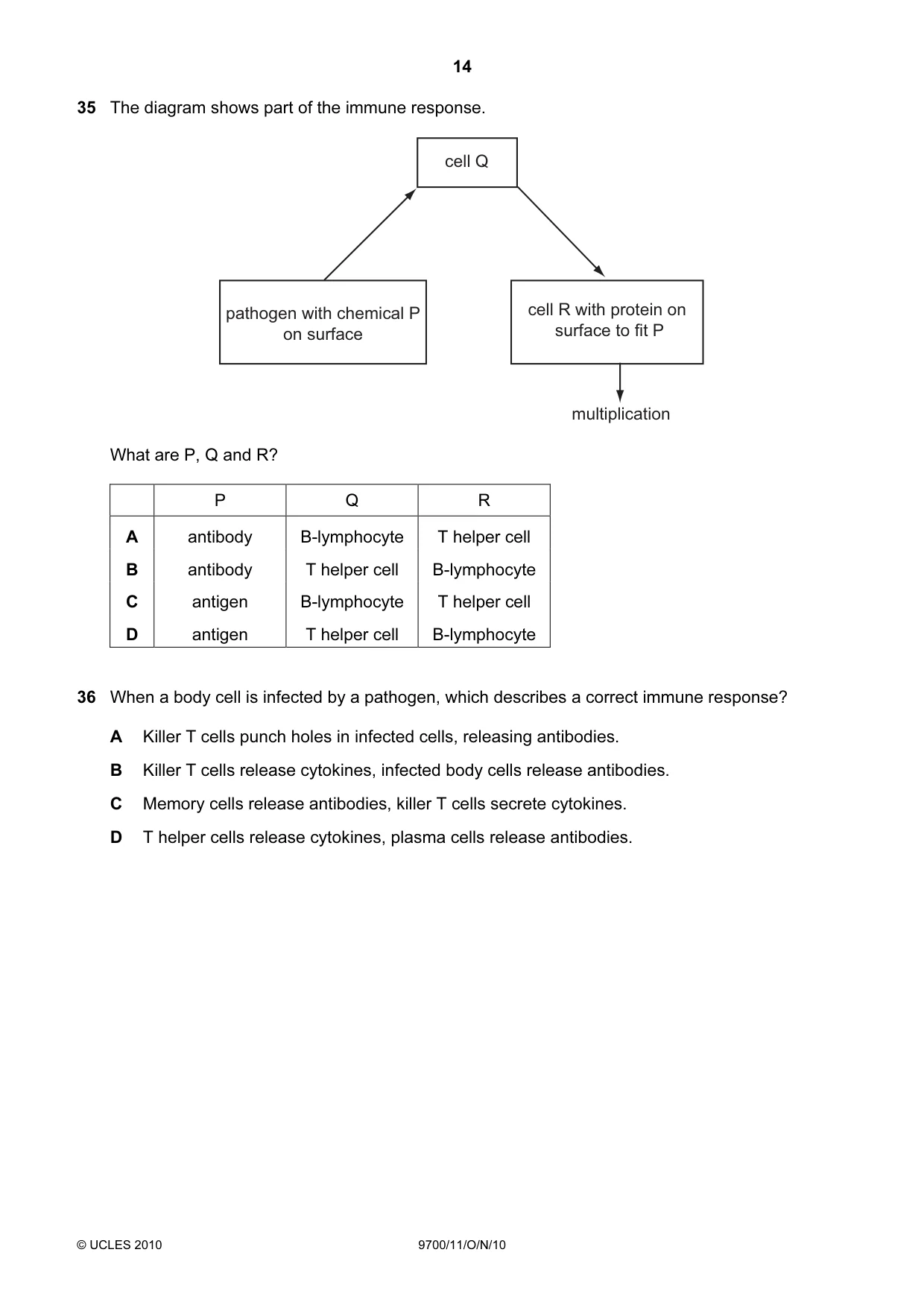 Cambridge A Level Biology 9700 2010 Oct/Nov Paper 1 · Variant 1 question paper, page 14 of 20