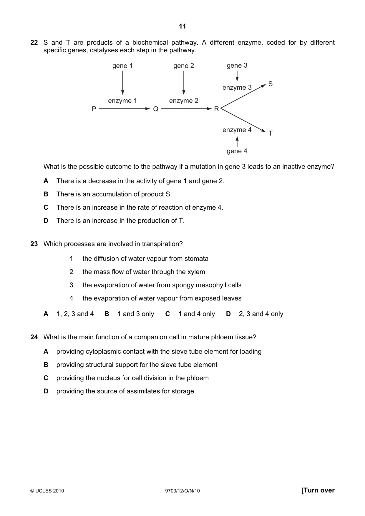 Cambridge A Level Biology 9700 2010 Oct/Nov Paper 1 · Variant 2 question paper, page 11 of 20