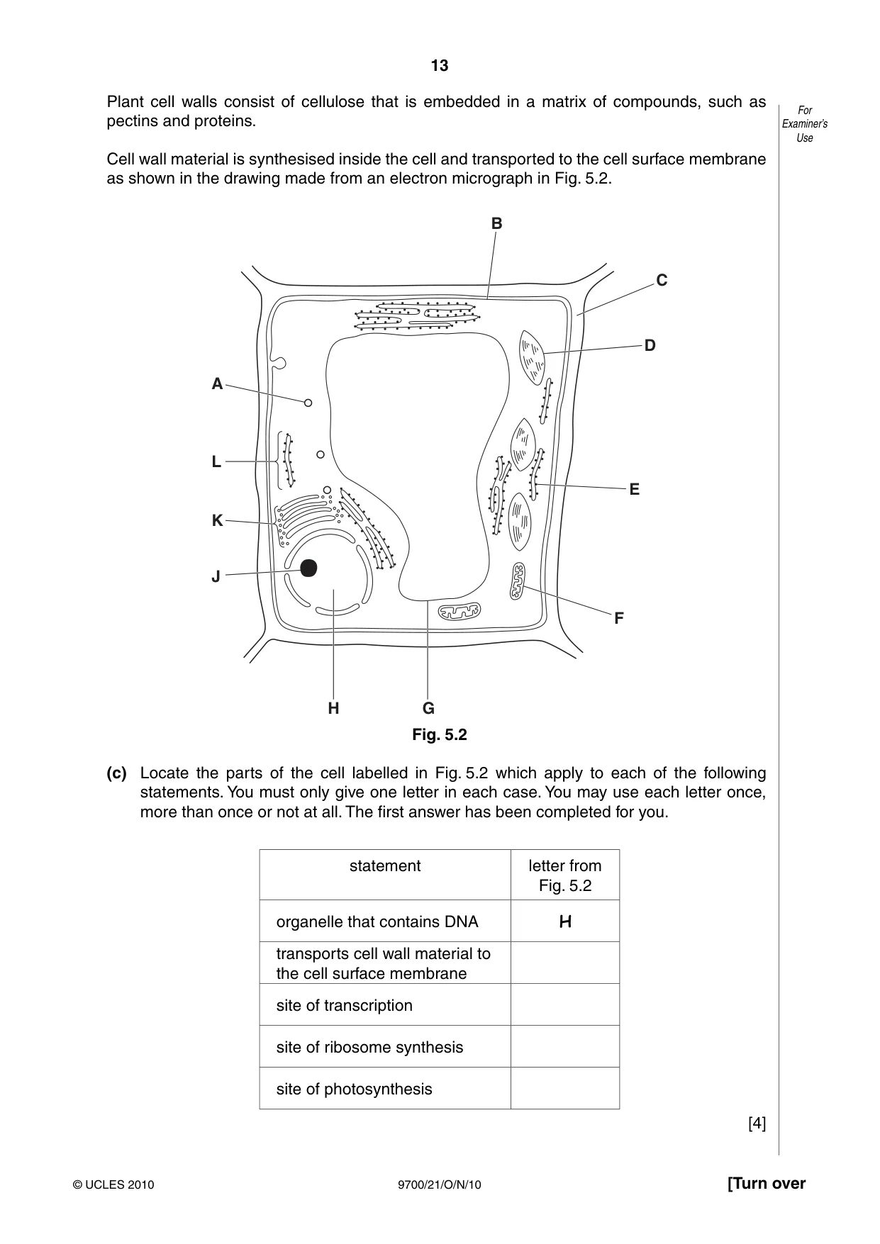 Cambridge A Level Biology 9700 2010 Oct/Nov Paper 2 · Variant 1 question paper, page 13 of 16