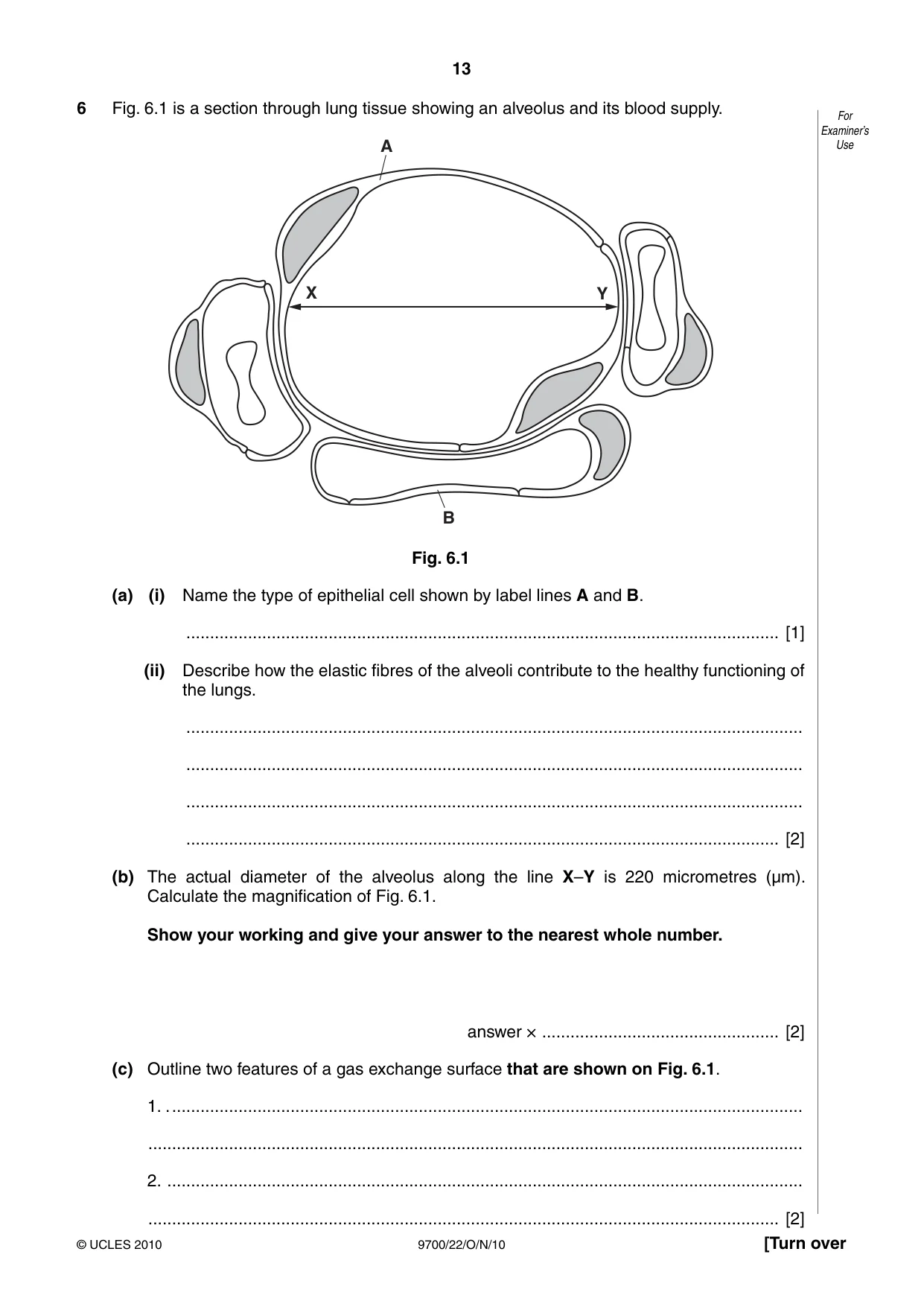 Cambridge A Level Biology 9700 2010 Oct/Nov Paper 2 · Variant 2 question paper, page 13 of 16