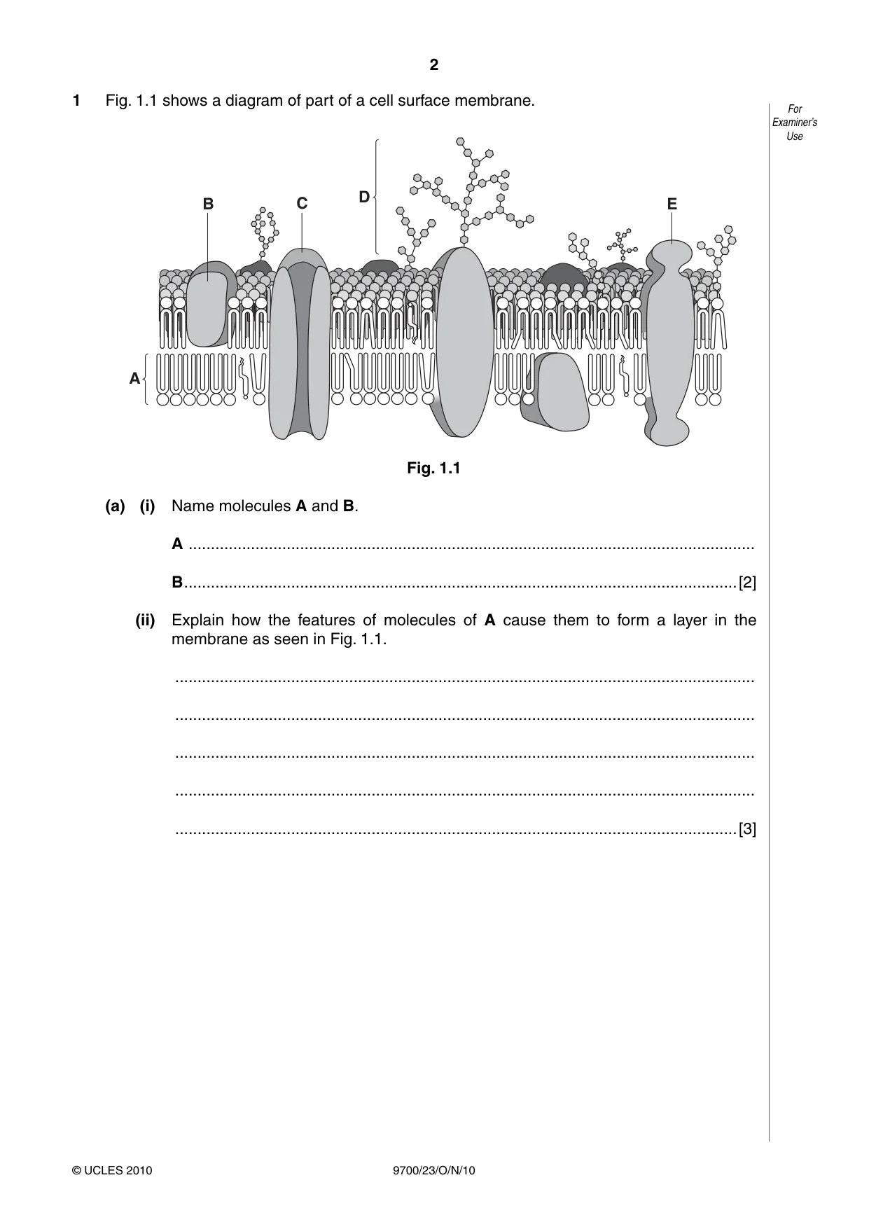 Cambridge A Level Biology 9700 2010 Oct/Nov Paper 2 · Variant 3 question paper, page 2 of 16