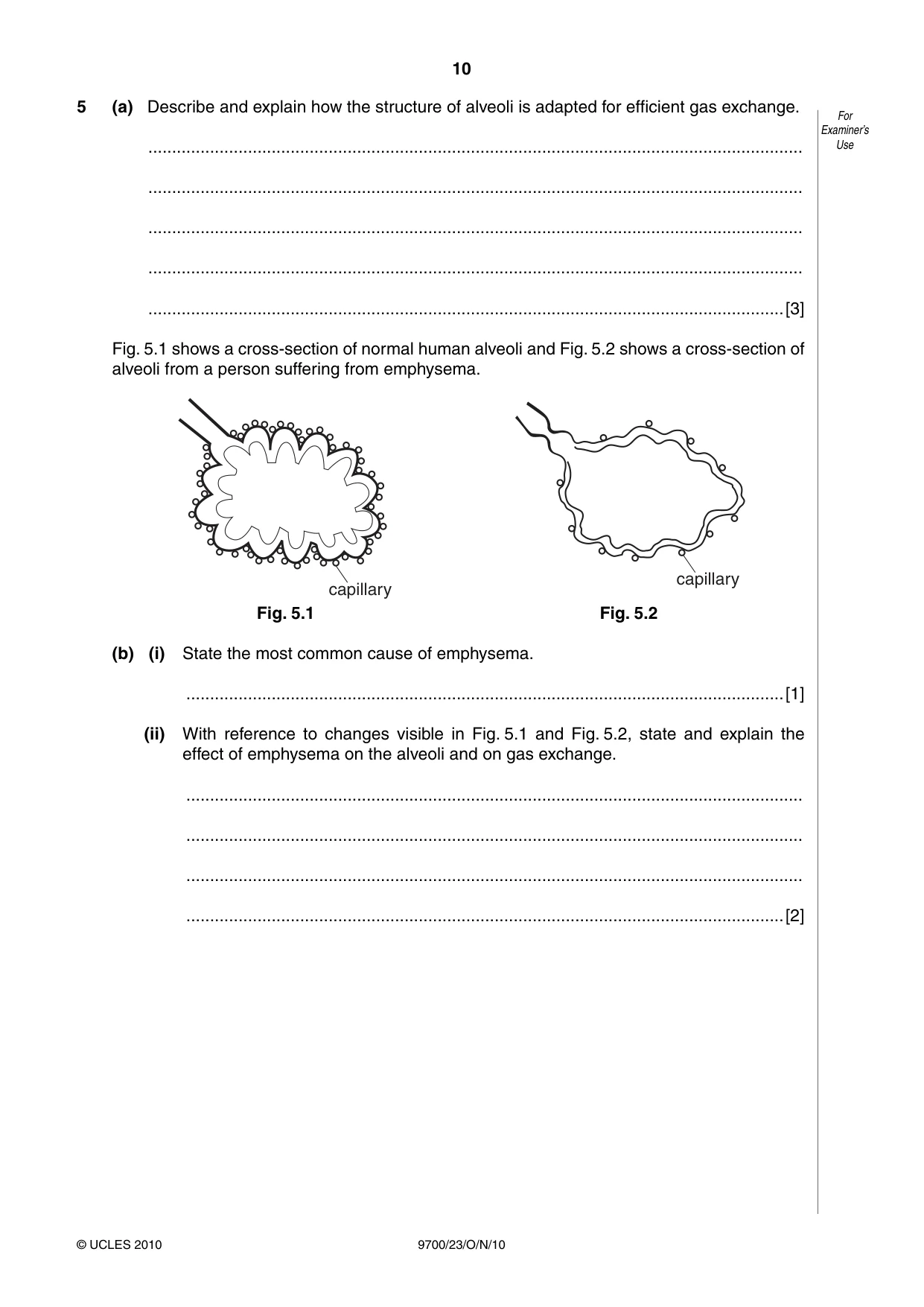 Cambridge A Level Biology 9700 2010 Oct/Nov Paper 2 · Variant 3 question paper, page 10 of 16