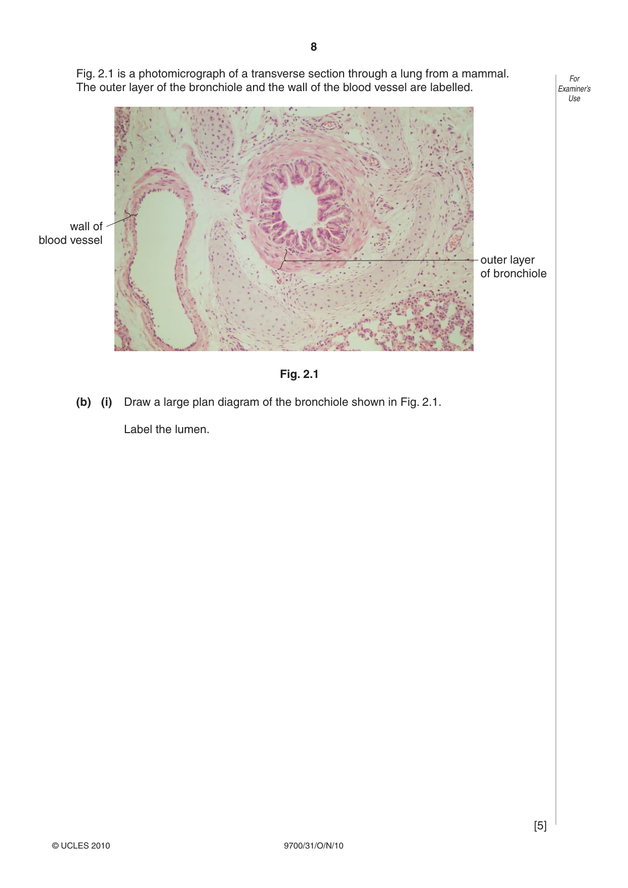 Cambridge A Level Biology 9700 2010 Oct/Nov Paper 3 · Variant 1 question paper, page 8 of 12