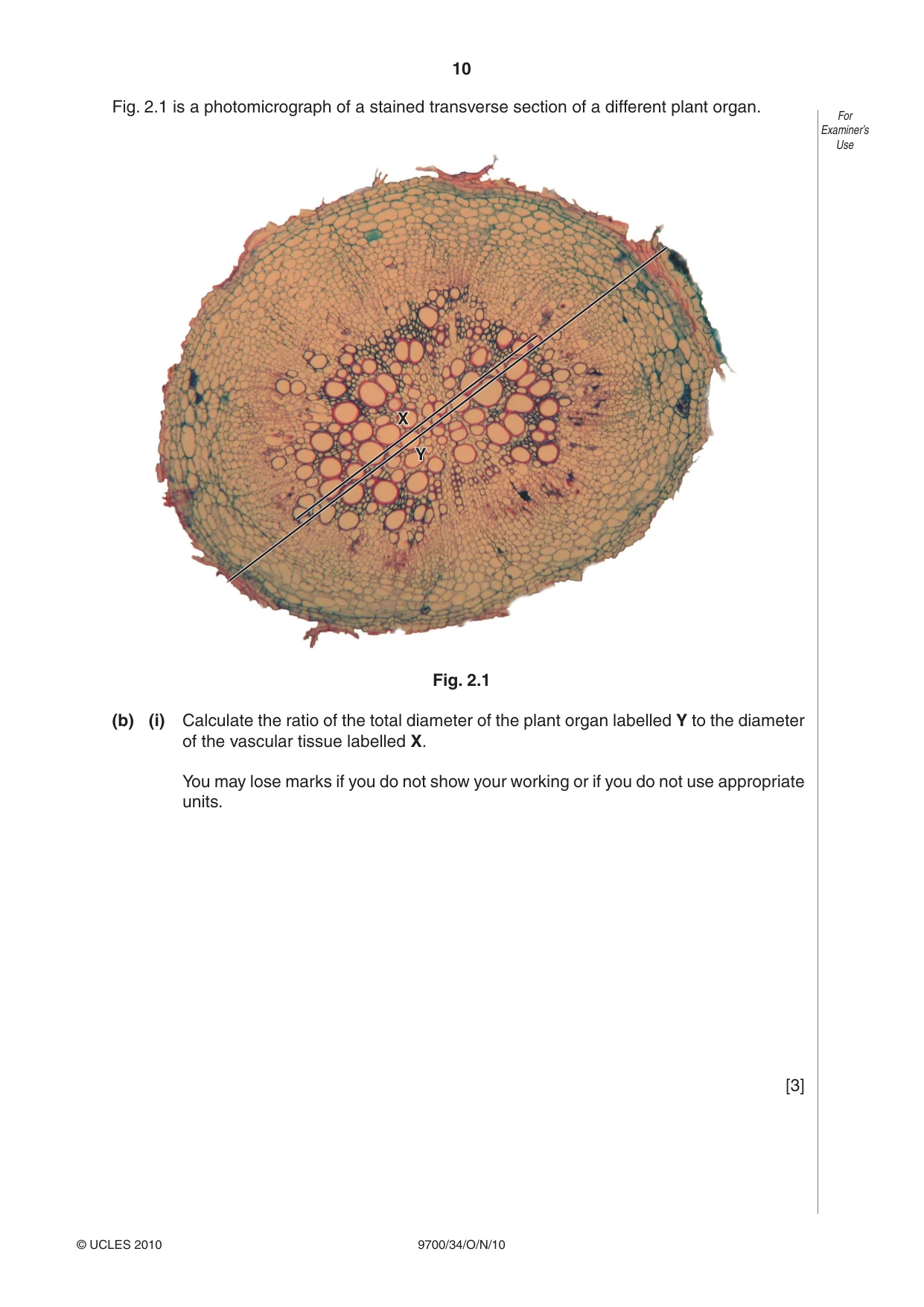 Cambridge A Level Biology 9700 2010 Oct/Nov Paper 3 · Variant 4 question paper, page 10 of 12