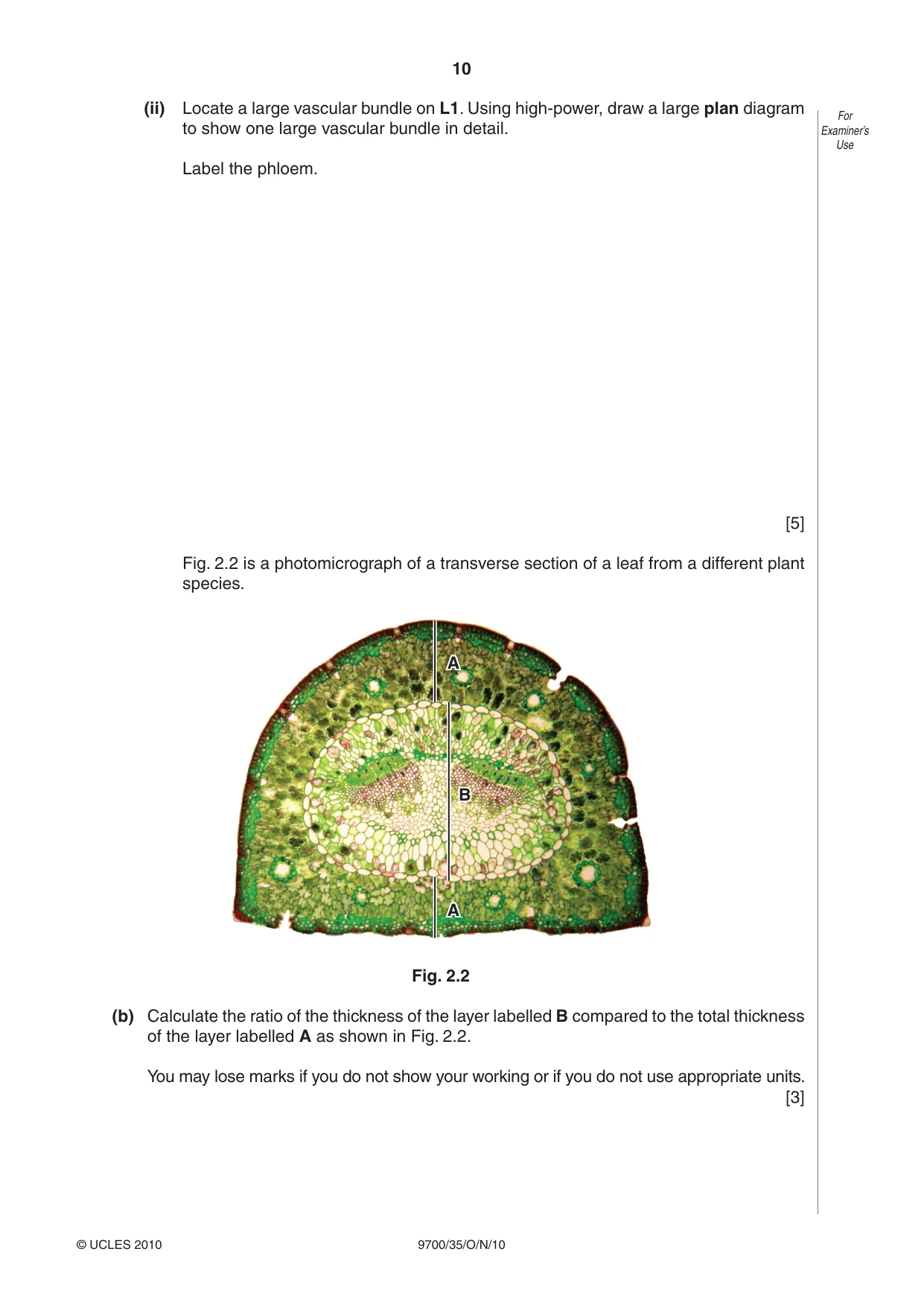 Cambridge A Level Biology 9700 2010 Oct/Nov Paper 3 · Variant 5 question paper, page 10 of 12