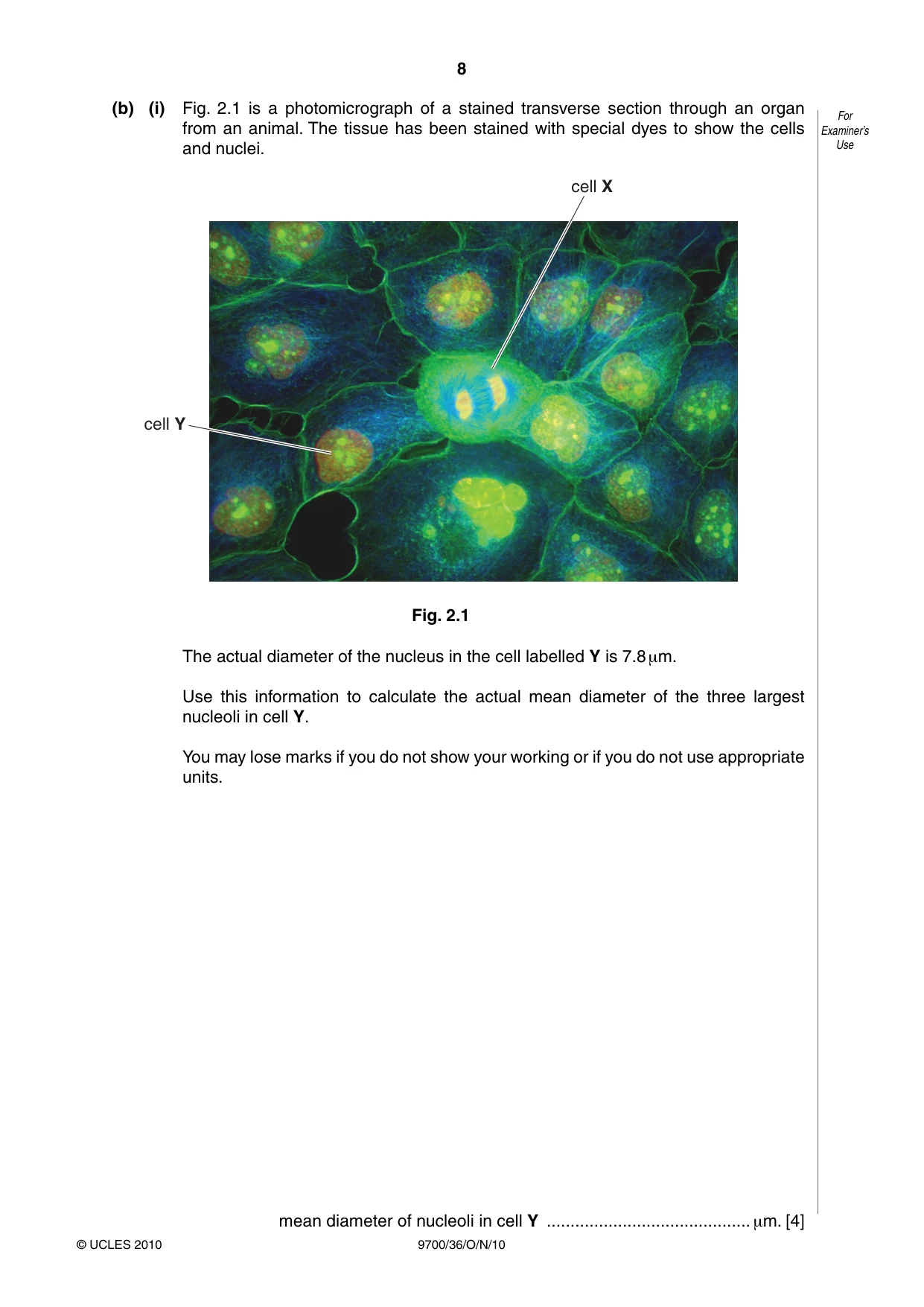 Cambridge A Level Biology 9700 2010 Oct/Nov Paper 3 · Variant 6 question paper, page 8 of 12