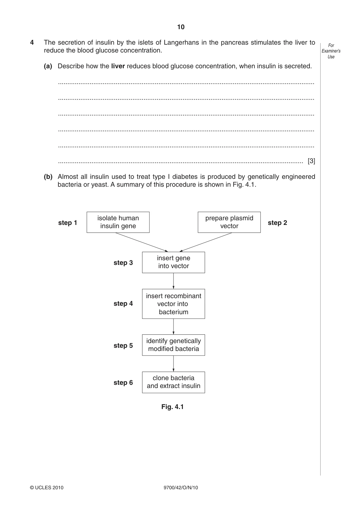 Cambridge A Level Biology 9700 2010 Oct/Nov Paper 4 · Variant 2 question paper, page 10 of 24