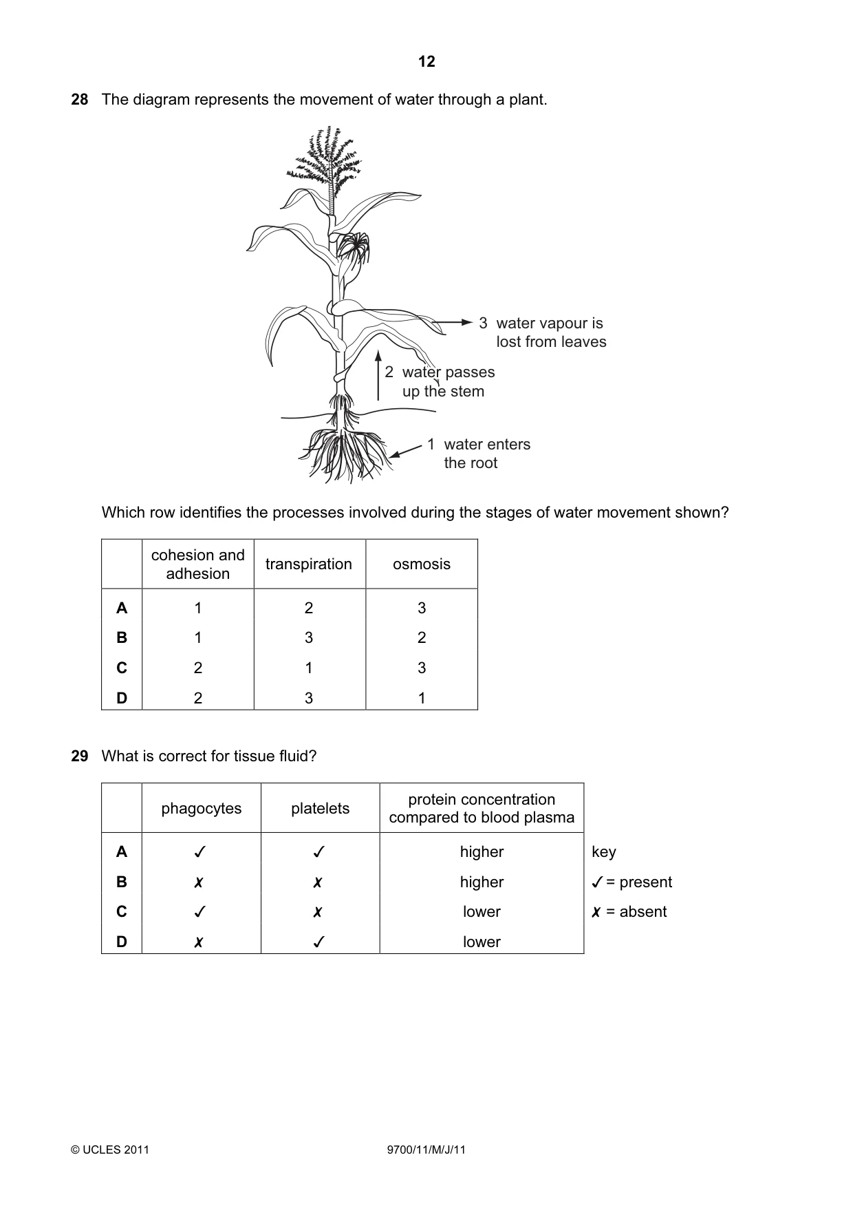 Cambridge A Level Biology 9700 2011 May/June Paper 1 · Variant 1 question paper, page 12 of 16