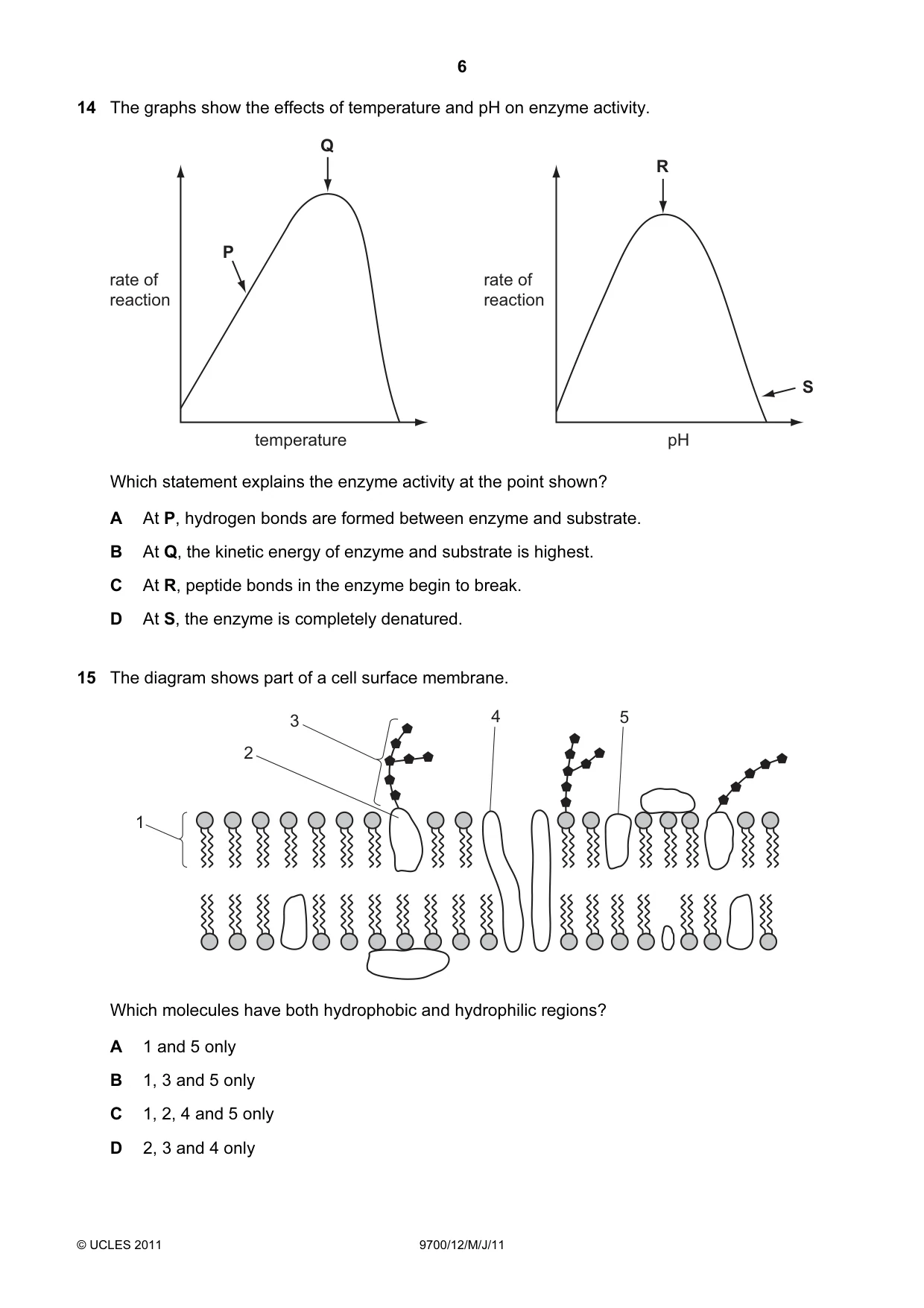 Cambridge A Level Biology 9700 2011 May/June Paper 1 · Variant 2 question paper, page 6 of 16