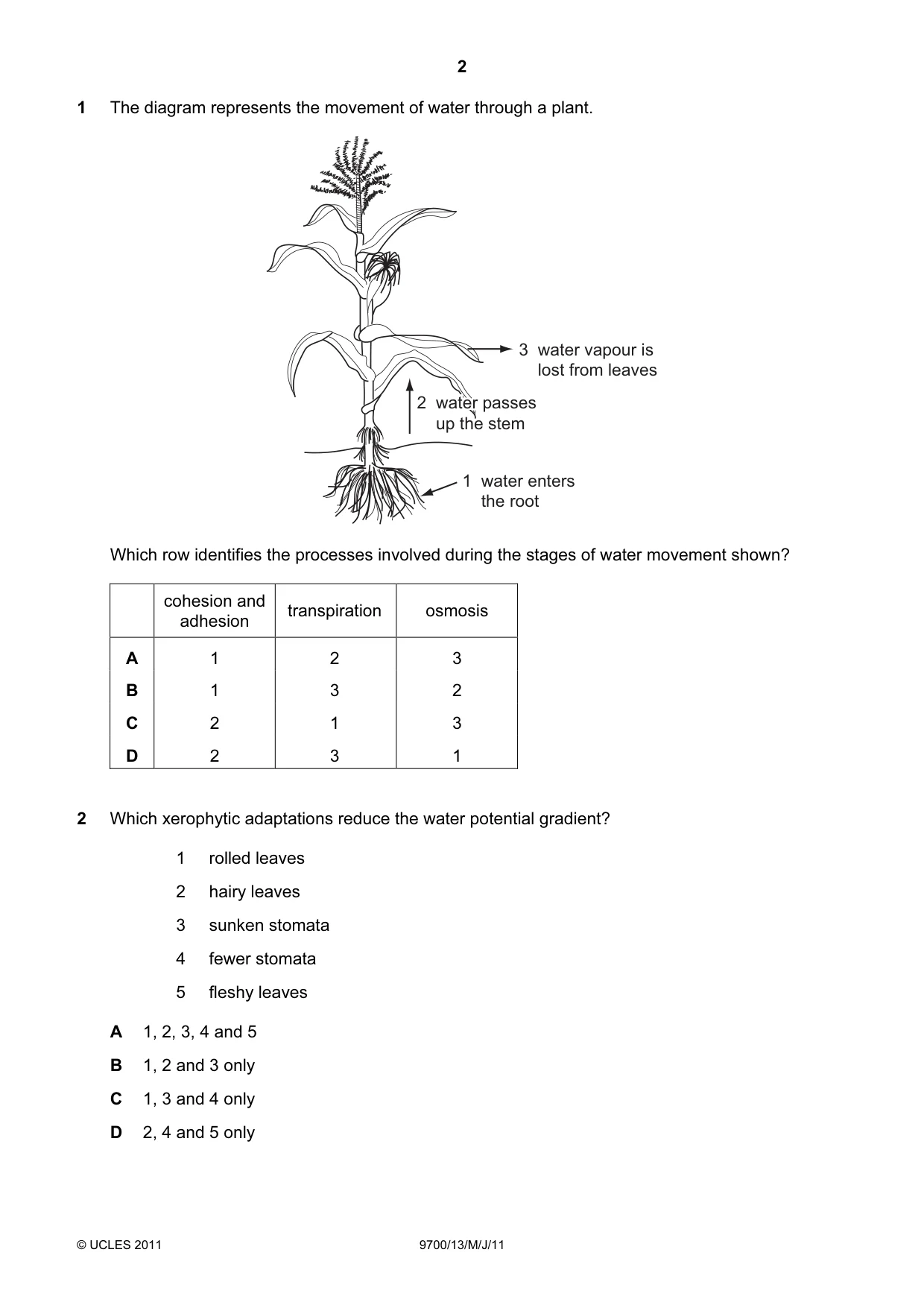 Cambridge A Level Biology 9700 2011 May/June Paper 1 · Variant 3 question paper, page 2 of 16
