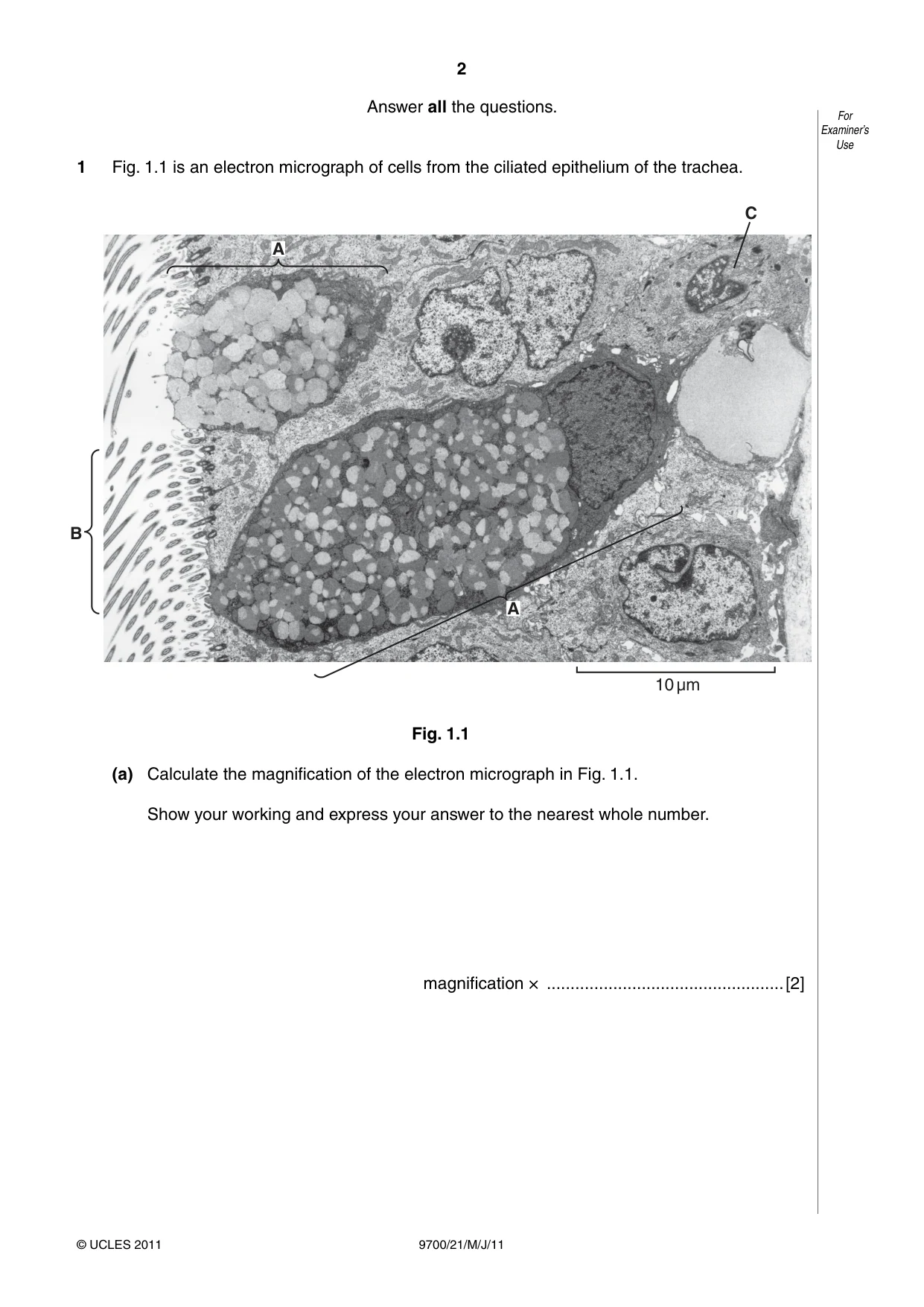 Cambridge A Level Biology 9700 2011 May/June Paper 2 · Variant 1 question paper, page 2 of 16