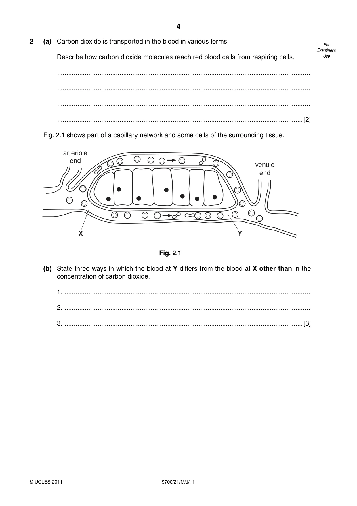 Cambridge A Level Biology 9700 2011 May/June Paper 2 · Variant 1 question paper, page 4 of 16