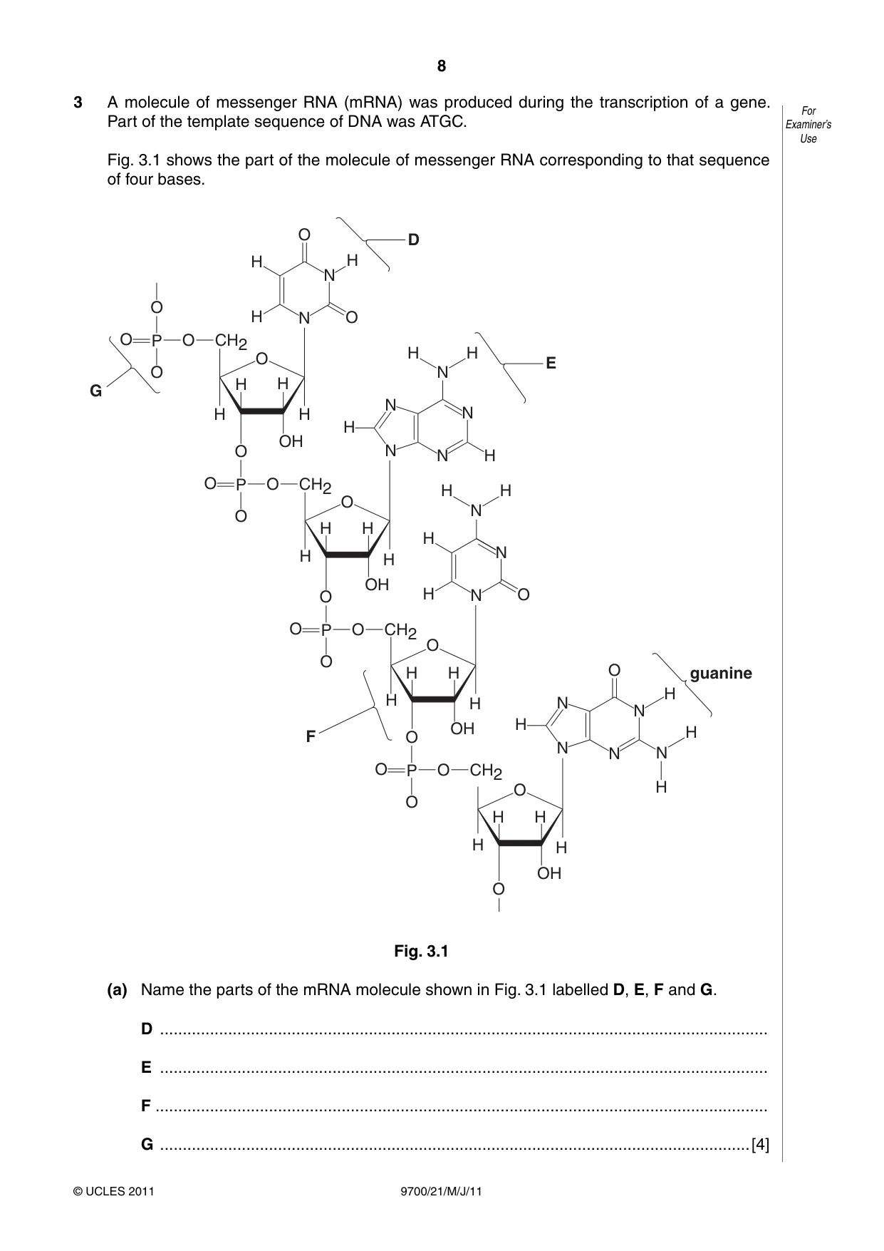 Cambridge A Level Biology 9700 2011 May/June Paper 2 · Variant 1 question paper, page 8 of 16