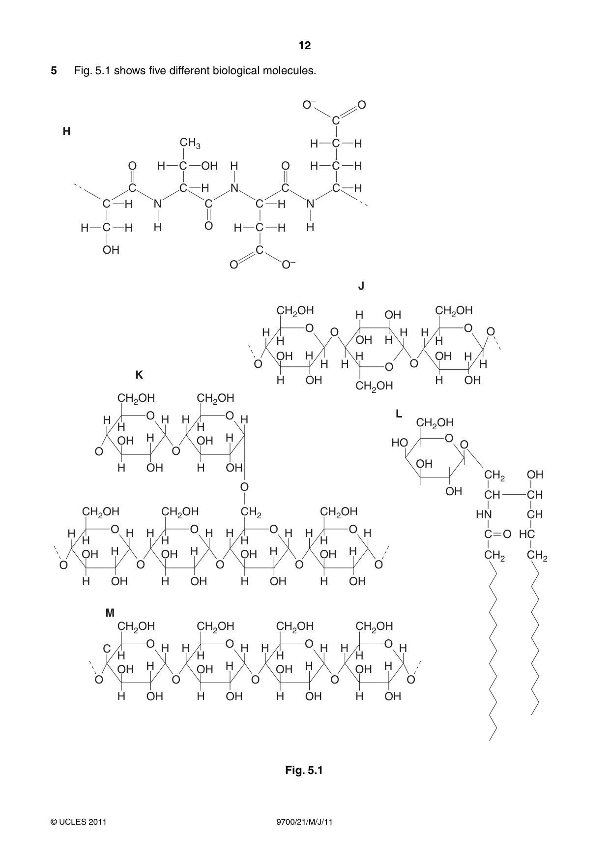 Cambridge A Level Biology 9700 2011 May/June Paper 2 · Variant 1 question paper, page 12 of 16