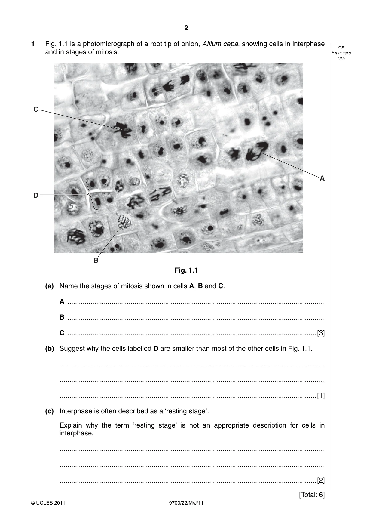 Cambridge A Level Biology 9700 2011 May/June Paper 2 · Variant 2 question paper, page 2 of 16