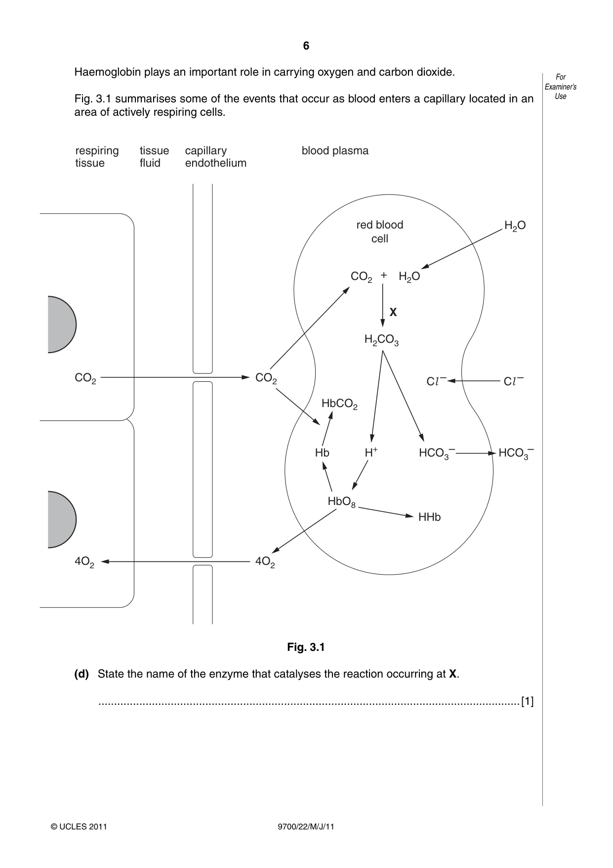 Cambridge A Level Biology 9700 2011 May/June Paper 2 · Variant 2 question paper, page 6 of 16