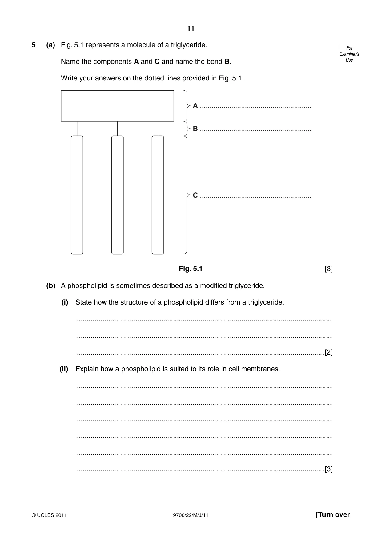 Cambridge A Level Biology 9700 2011 May/June Paper 2 · Variant 2 question paper, page 11 of 16