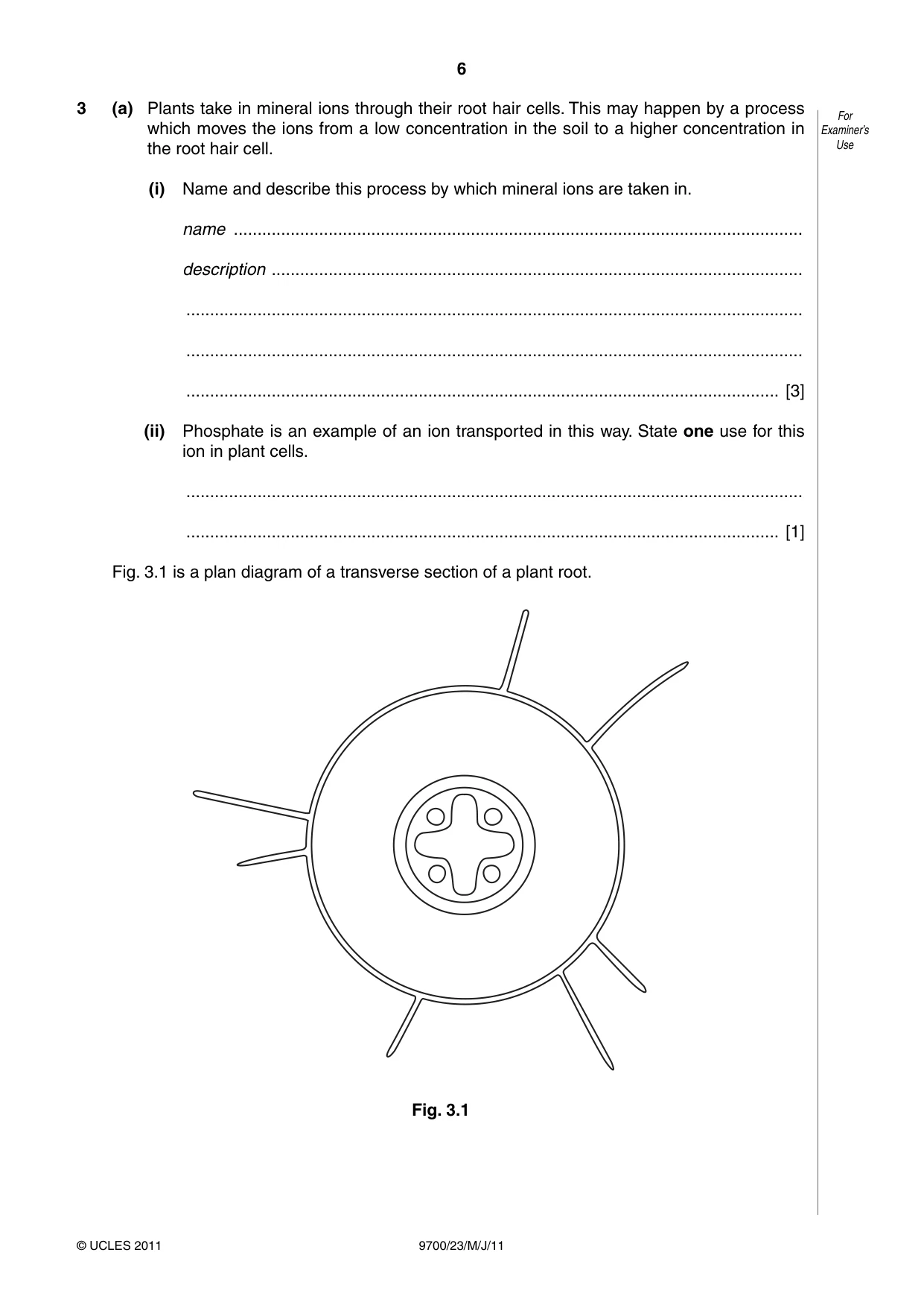Cambridge A Level Biology 9700 2011 May/June Paper 2 · Variant 3 question paper, page 6 of 16